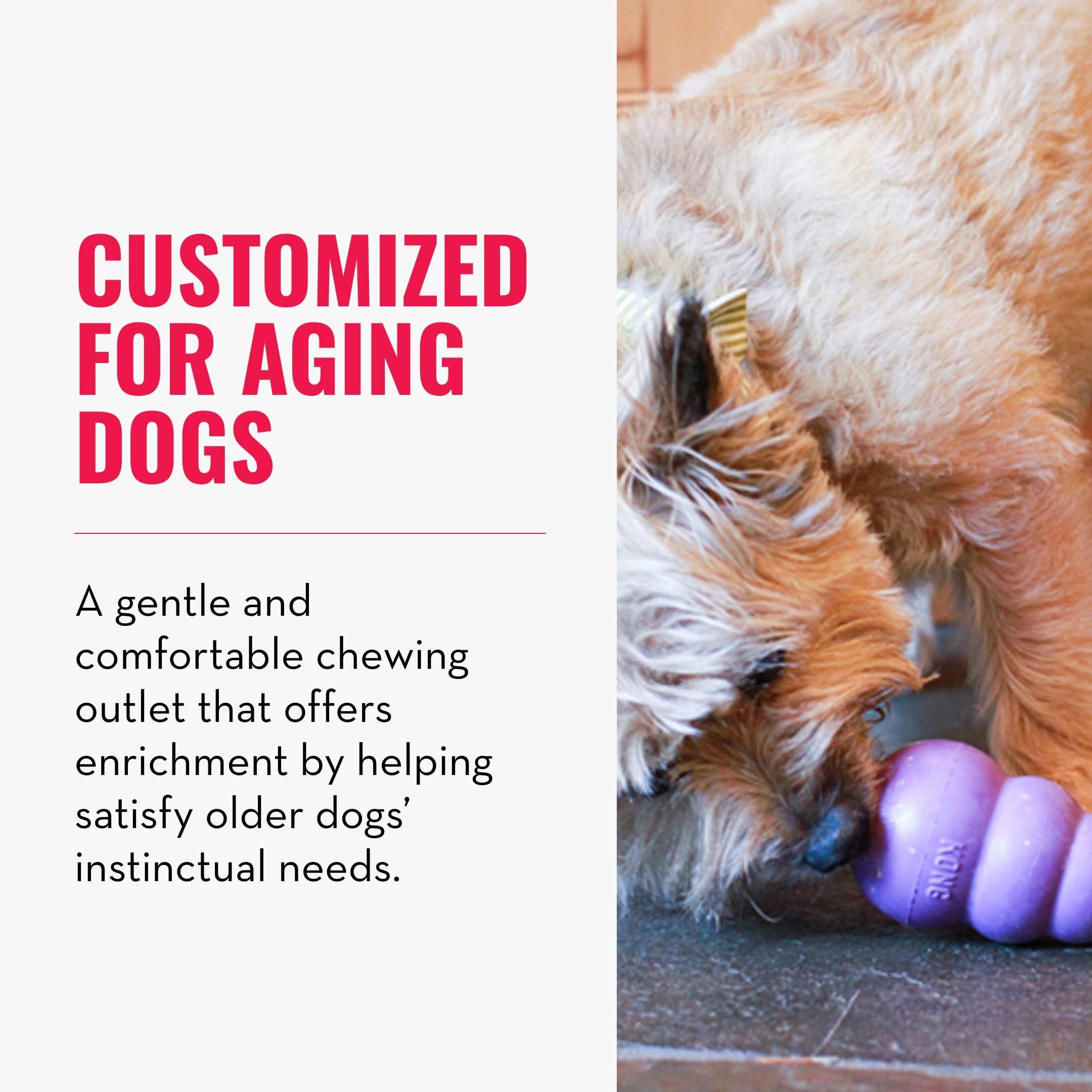 KONG Senior - Dog Toy with Gentle, Natural Rubber - Durable Dog Toy for Older Dogs - Use Treats with Stuffable Chew Toy - Treat