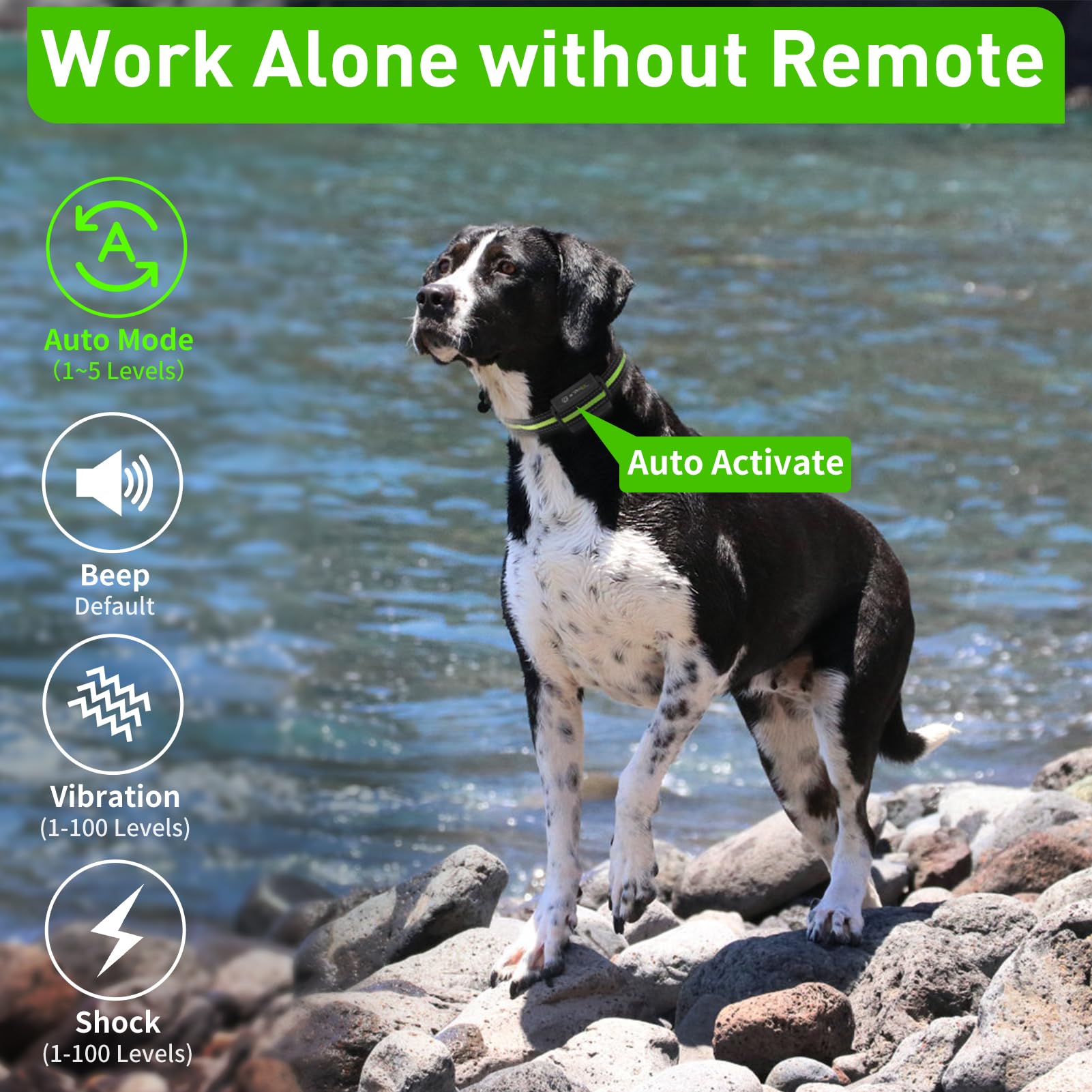 Petjoy Shock Collar For 3 Dogs, Automatic Bark Collar With Remote, Bark And Training Collar 2 In 1, Auto Bark Collar With Beep,