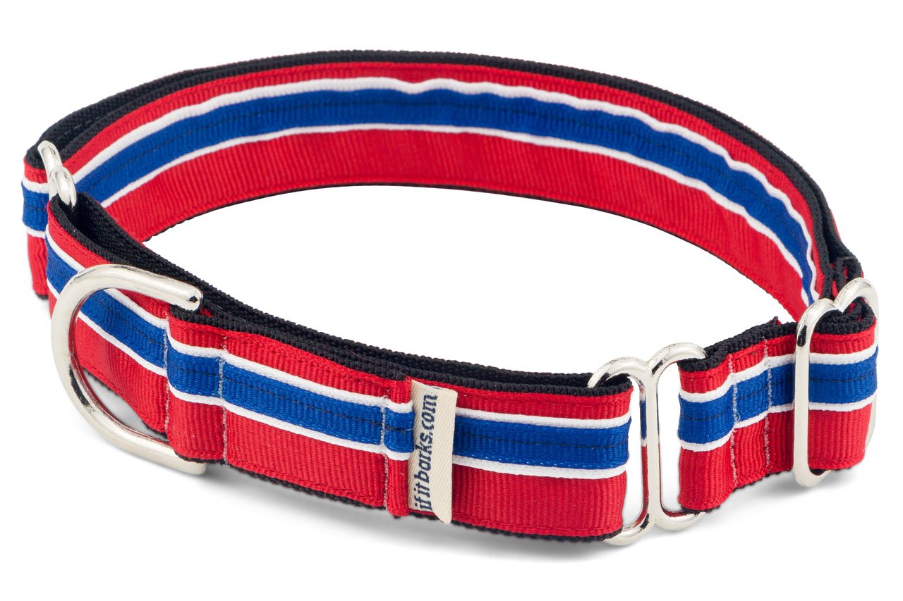 If It Barks 1'' Martingale Collar For Dogs, Adjustable Nylon, Usa Made, Large, Patriotic
