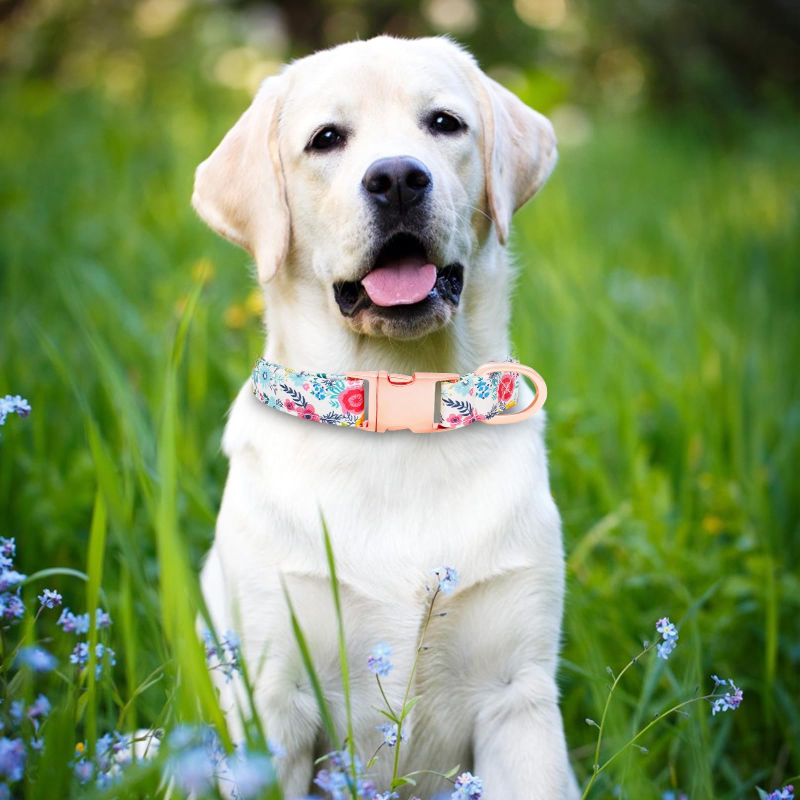 HSIGIO Dog Collar and Leash Set Girls Adjustable Puppy Collars with Floral Bow Tie for Small Medium Large Female Dogs, Teal Flow