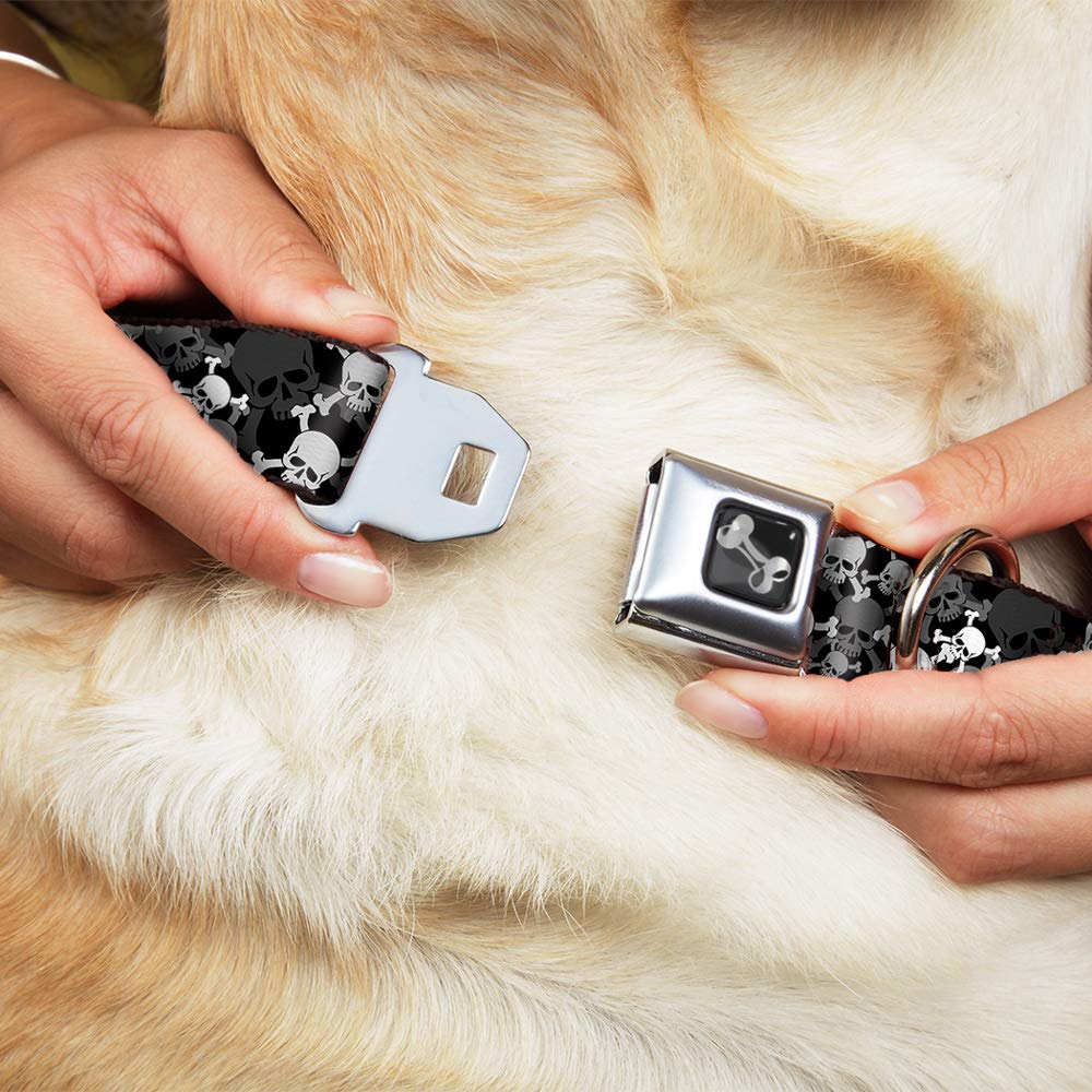 Buckle-Down Seatbelt Buckle Dog Collar - Top Skulls Stacked Black/Gray/White - 1' Wide - Fits 15-26' Neck - Large