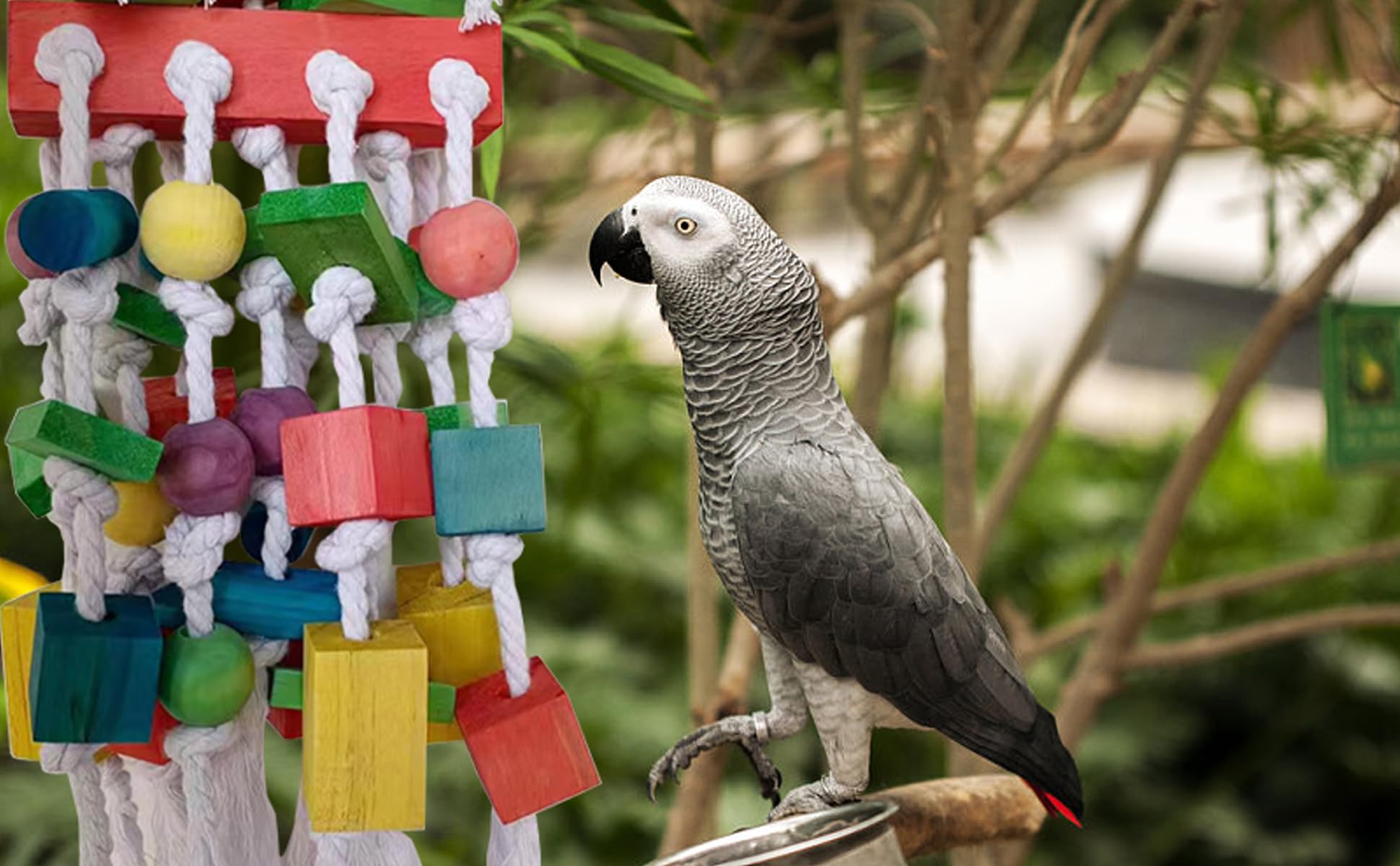 Tanoma Extra Large Parrot Bird Toys For Macaws, Amazon Parrots, African Grey- Birds Cage Accessories