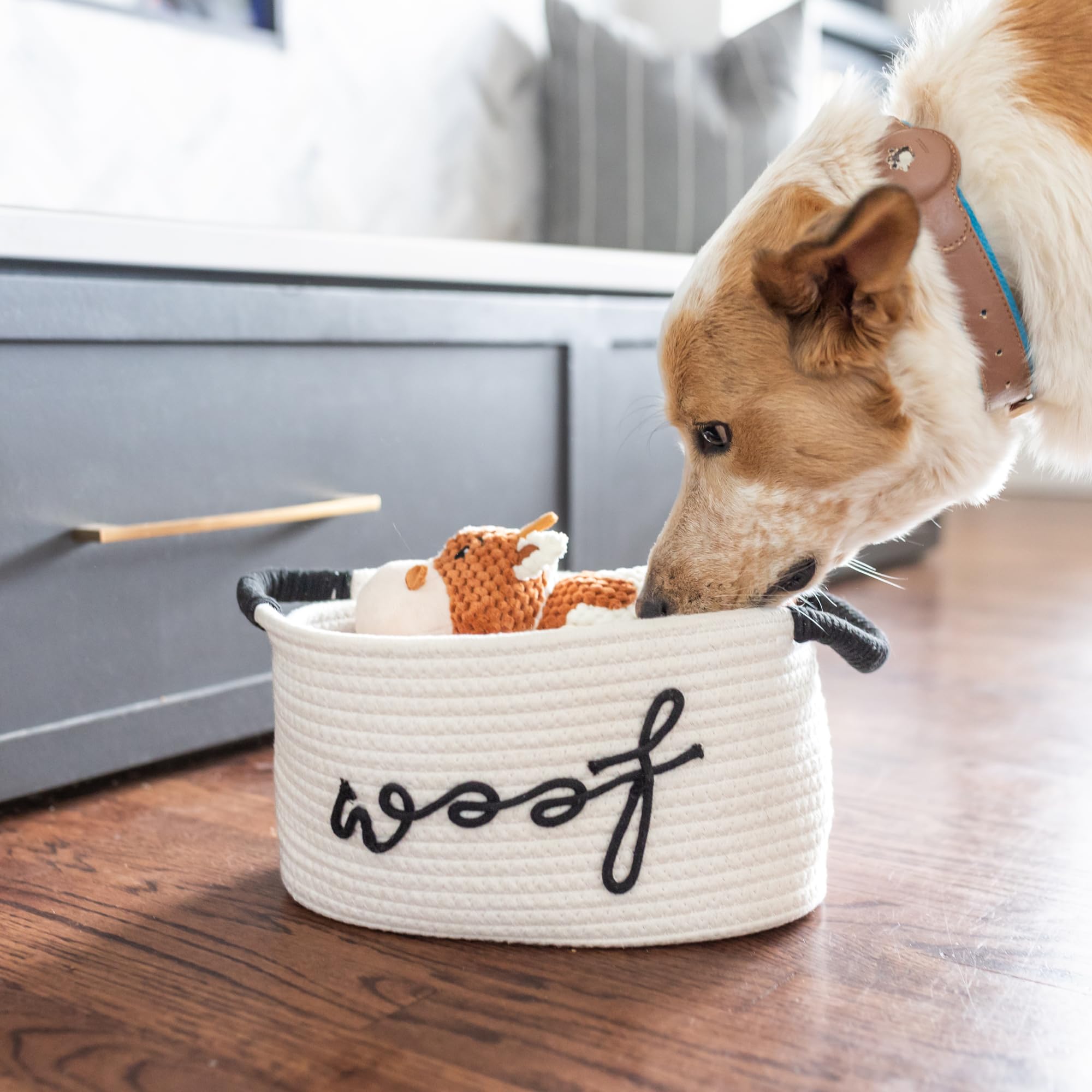 New Puppy Gift Basket - Premium Puppy Starter Kit and Dog Gift Basket with Dog Toys - Perfect Doggie Birthday Gifts and Puppy Ne