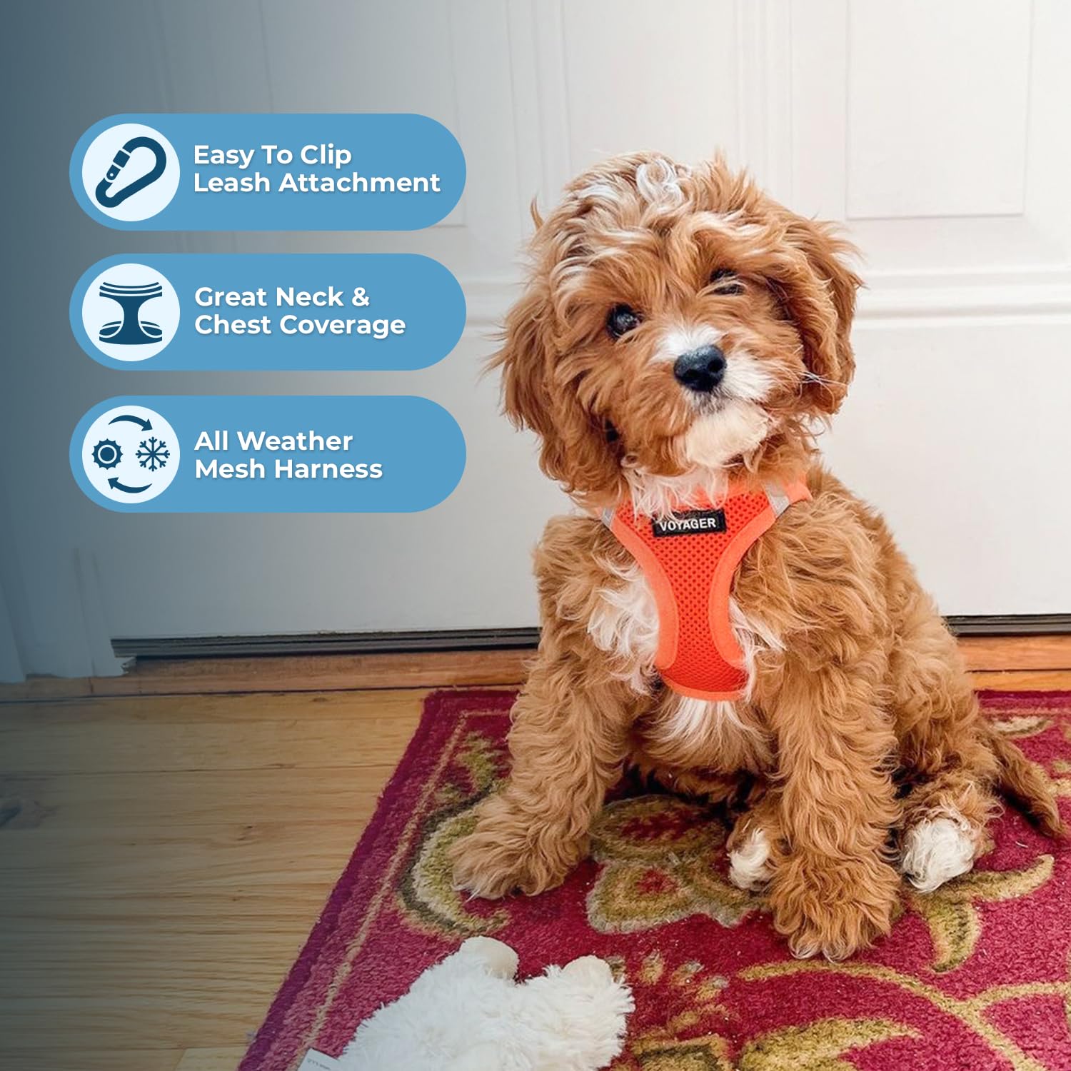 Voyager Step-In Air Dog Harness - All Weather Mesh Step In Vest Harness For Small And Medium Dogs And Cats By Best Pet Supplies - Harness (Orange), S (Chest: 14.5-16')