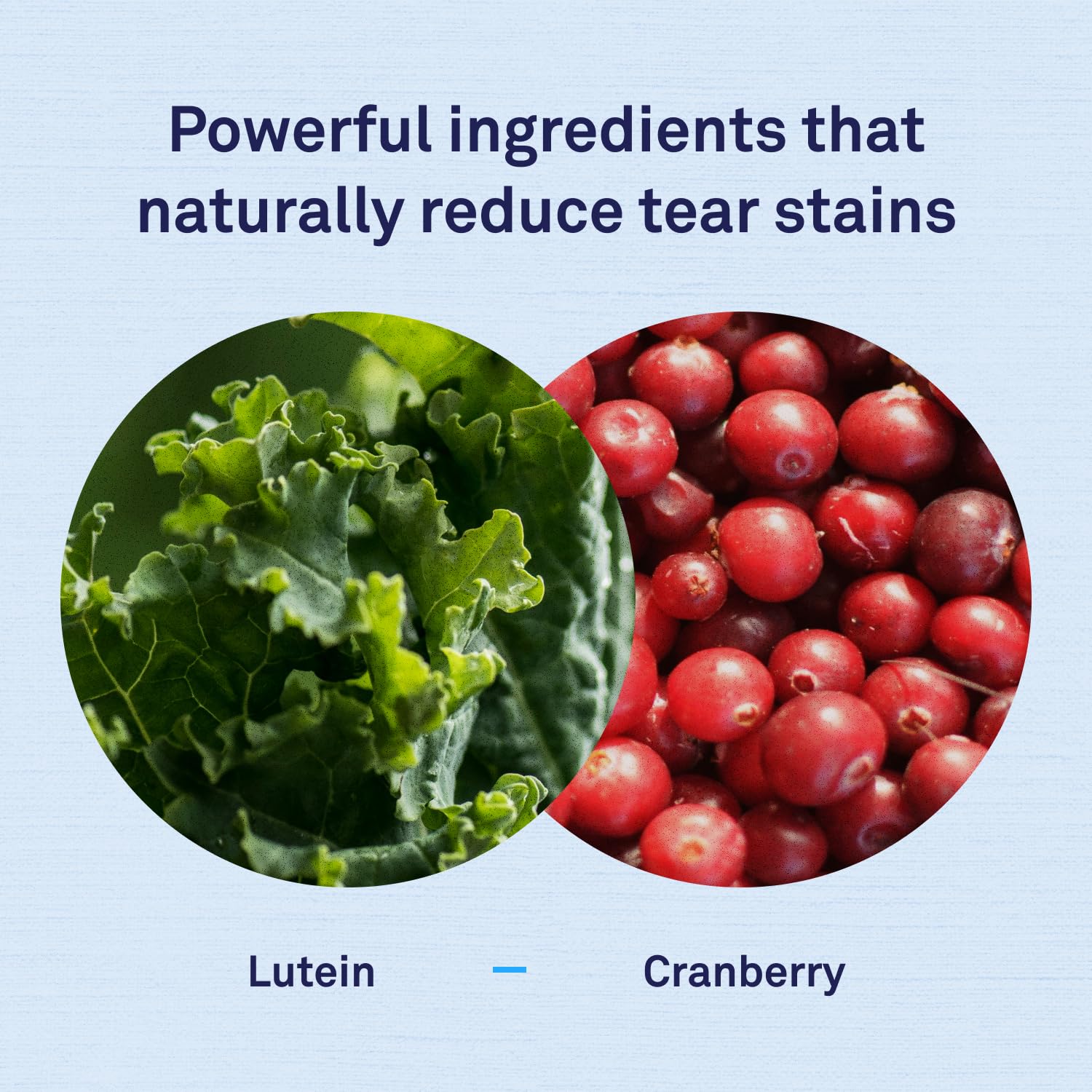 Petpost | Tear Stain Remover Soft Chews - Delicious Cheese Treat & Eye Stain Supplement for Dogs - Natural Treatment for Tear St