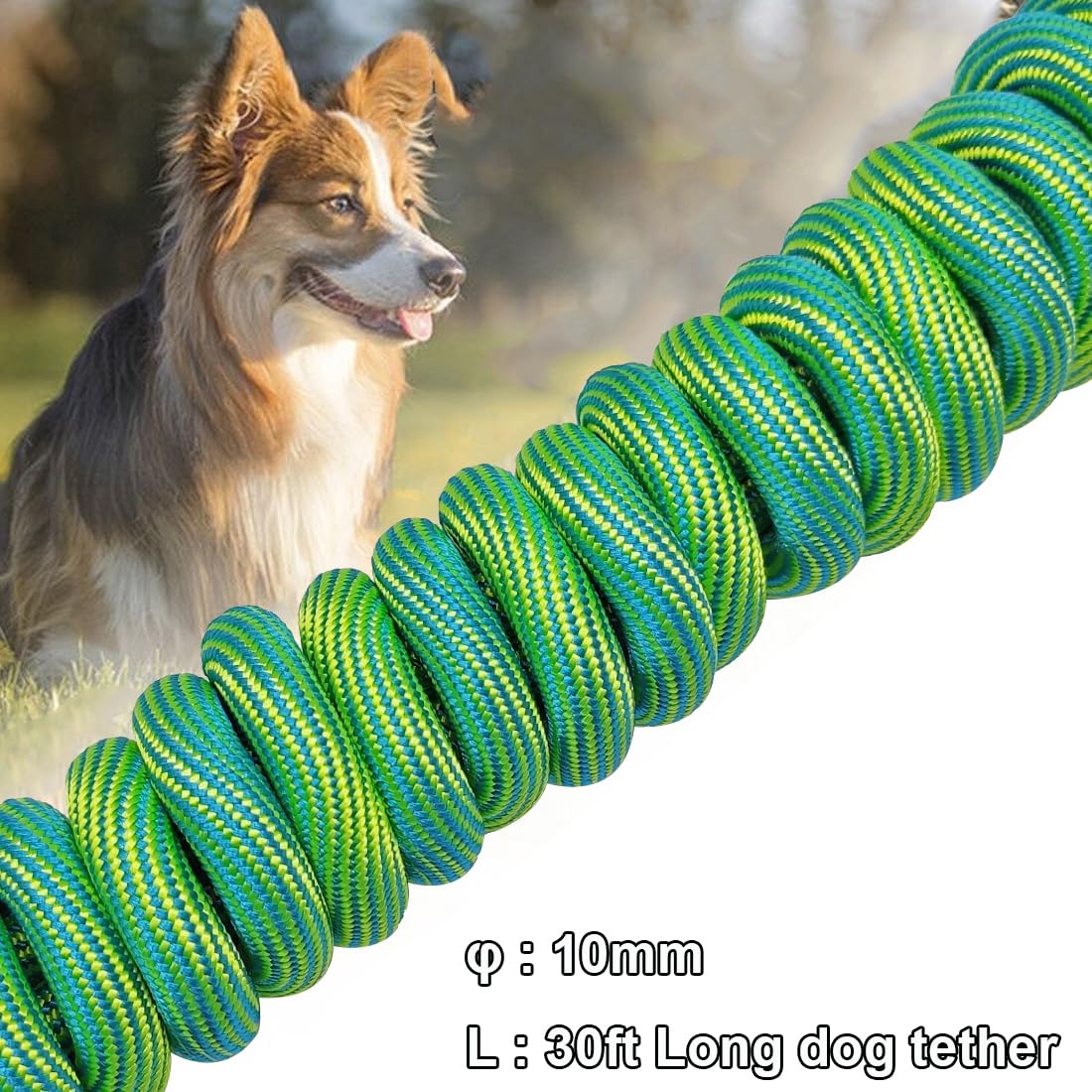 Btinesful 8Ft 12Ft 20Ft 30Ft 50Ft 75Ft Dog Tie-Out Long Tether Rope Leash, Outdoor Dog Yard Leash- Large Medium Small Dogs Train