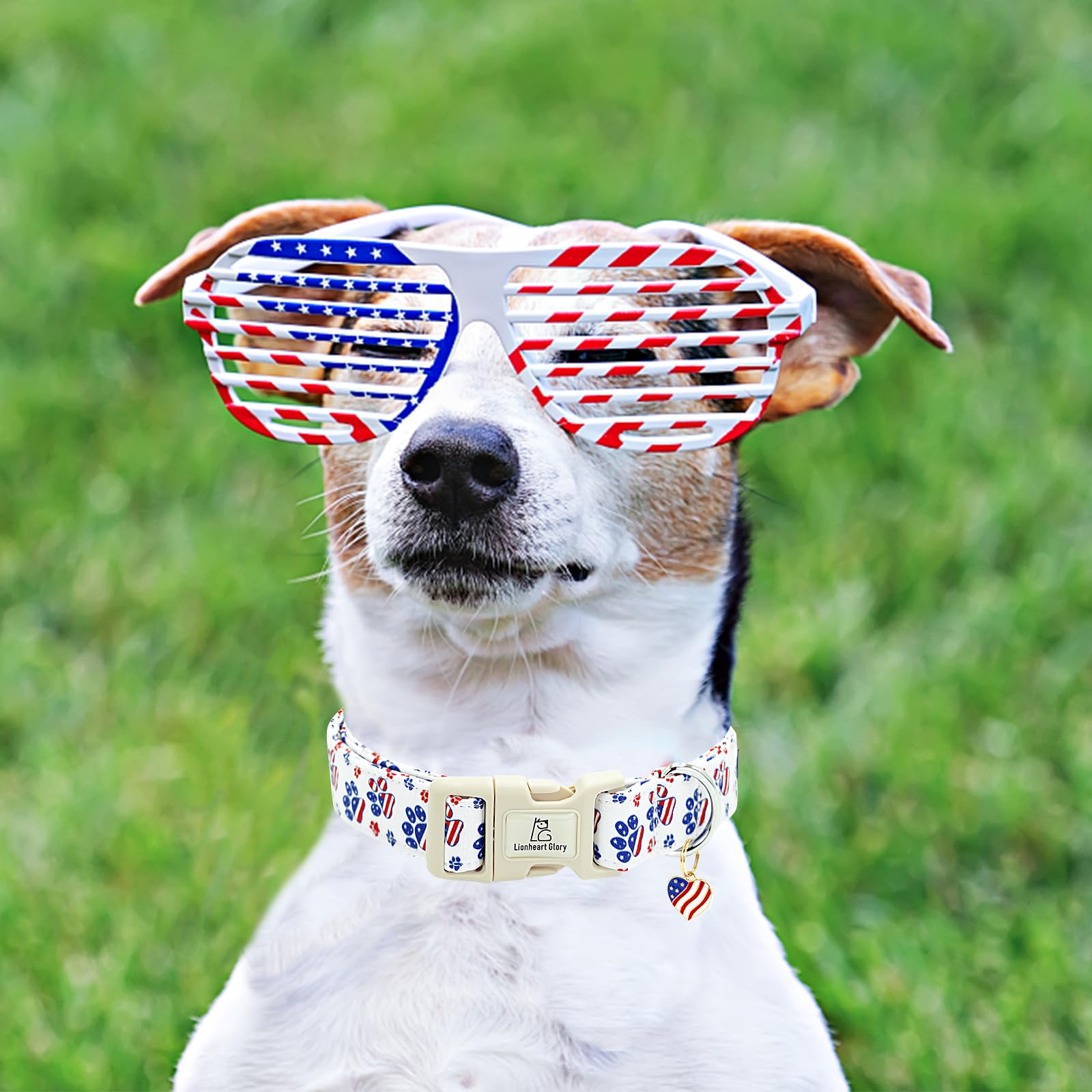 Lionheart Glory American Flag Dog Collar, 4 Of July Patriotic Independence Day Dog Collar Heavy Duty Adjustable Dog Collars For