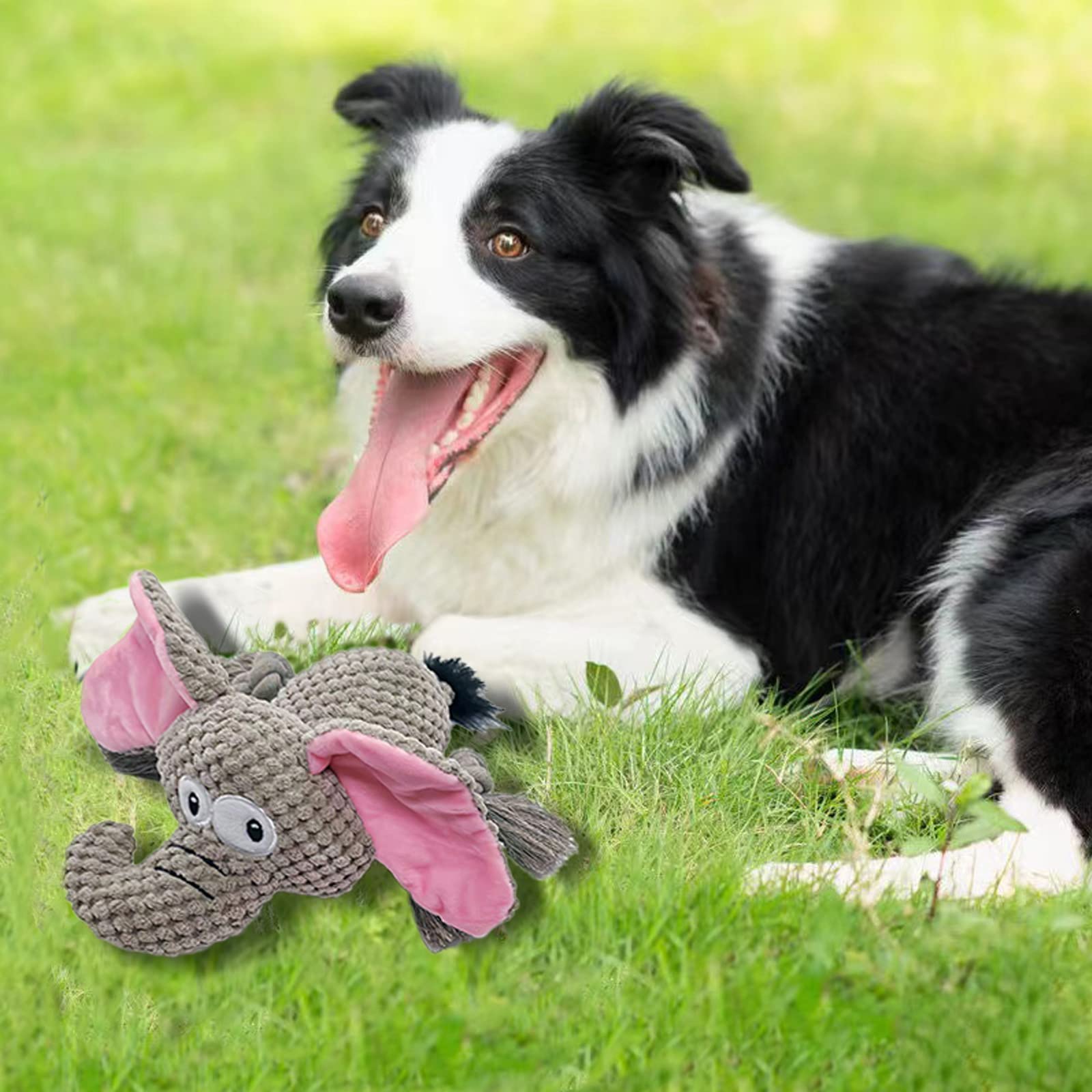 Aimeting Dog Toys, Durable Dog Chew Toys, Dog Squeak Toy With Fun Crinkle Paper, Plush Toys Suitable For Small, Medium, Large Do