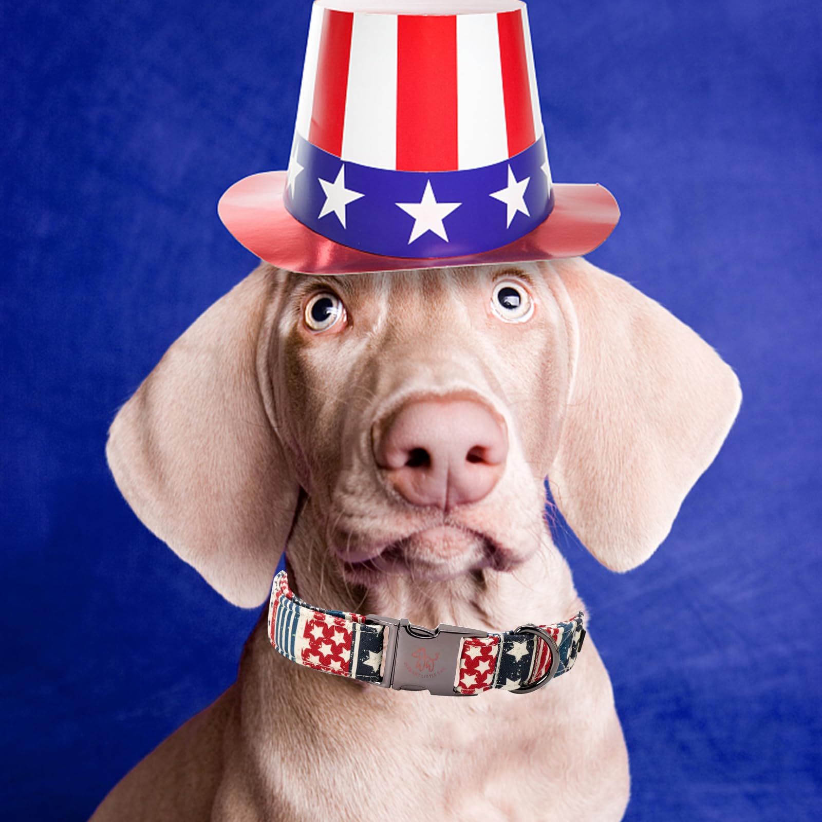 Elegant Pink Floral Print Summer Dog Collar - Cotton, Durable, Metal Buckle For X-Small Dogs