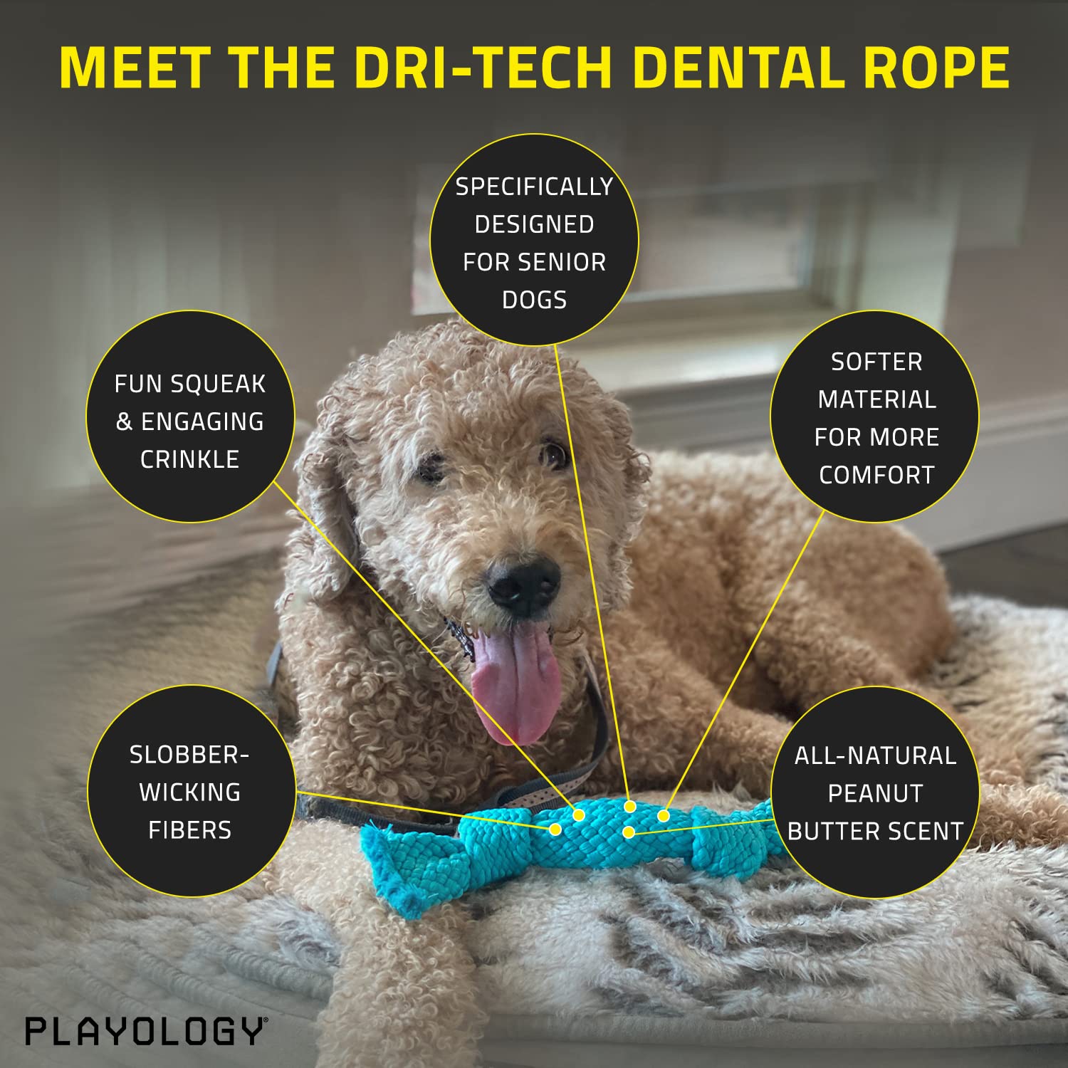Playology Silver Dri-Tech Dental Rope Dog Toy, Medium - Designed For Senior Dogs (15-35Lbs) - Engaging All-Natural Peanut Butter Scented Toy - Non-Toxic Materials And Moderate Chewing For Older Teeth
