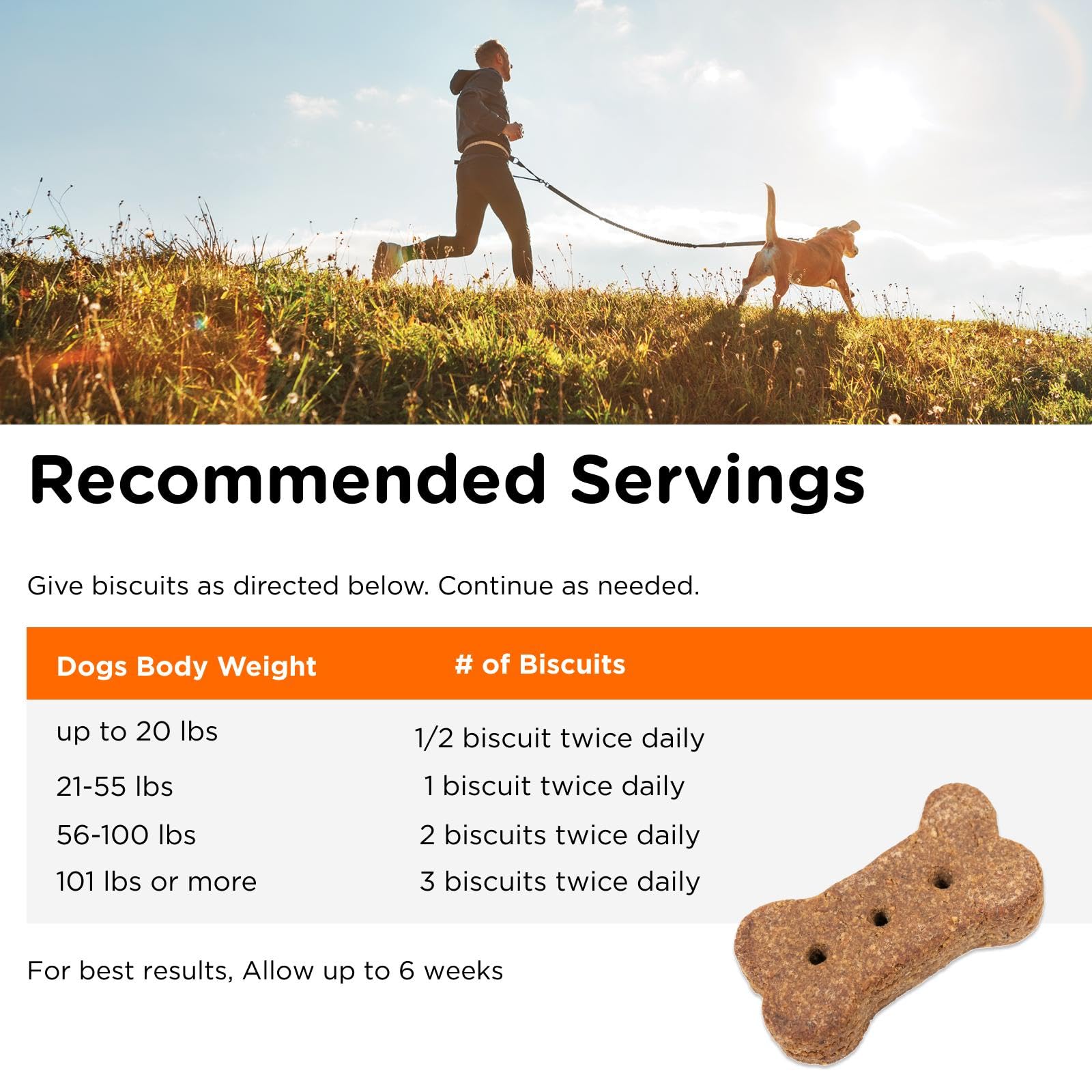 Nutri-Vet Skin & Coat Biscuits for Dogs, Tasty Dog Treat, Dog Skin and Coat Supplement, Small Sized Biscuit, Omega-3 and Biotin