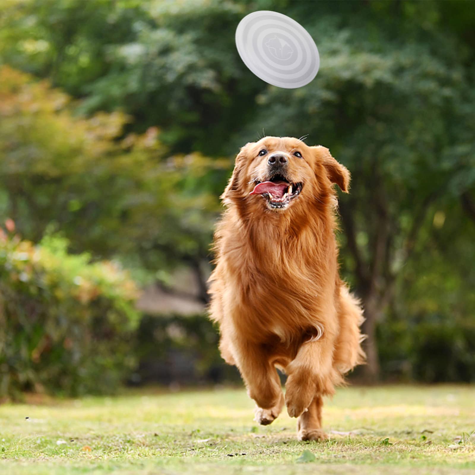 Slson Dog Bowls Pet Collapsible Bowl With Cover Lids,2 Pack Dog Travel Bowls Portable Foldable Cat Water Dish Bowl For Pets Walking Parking Camping (Fairy Pink And Sprout Green, Large)