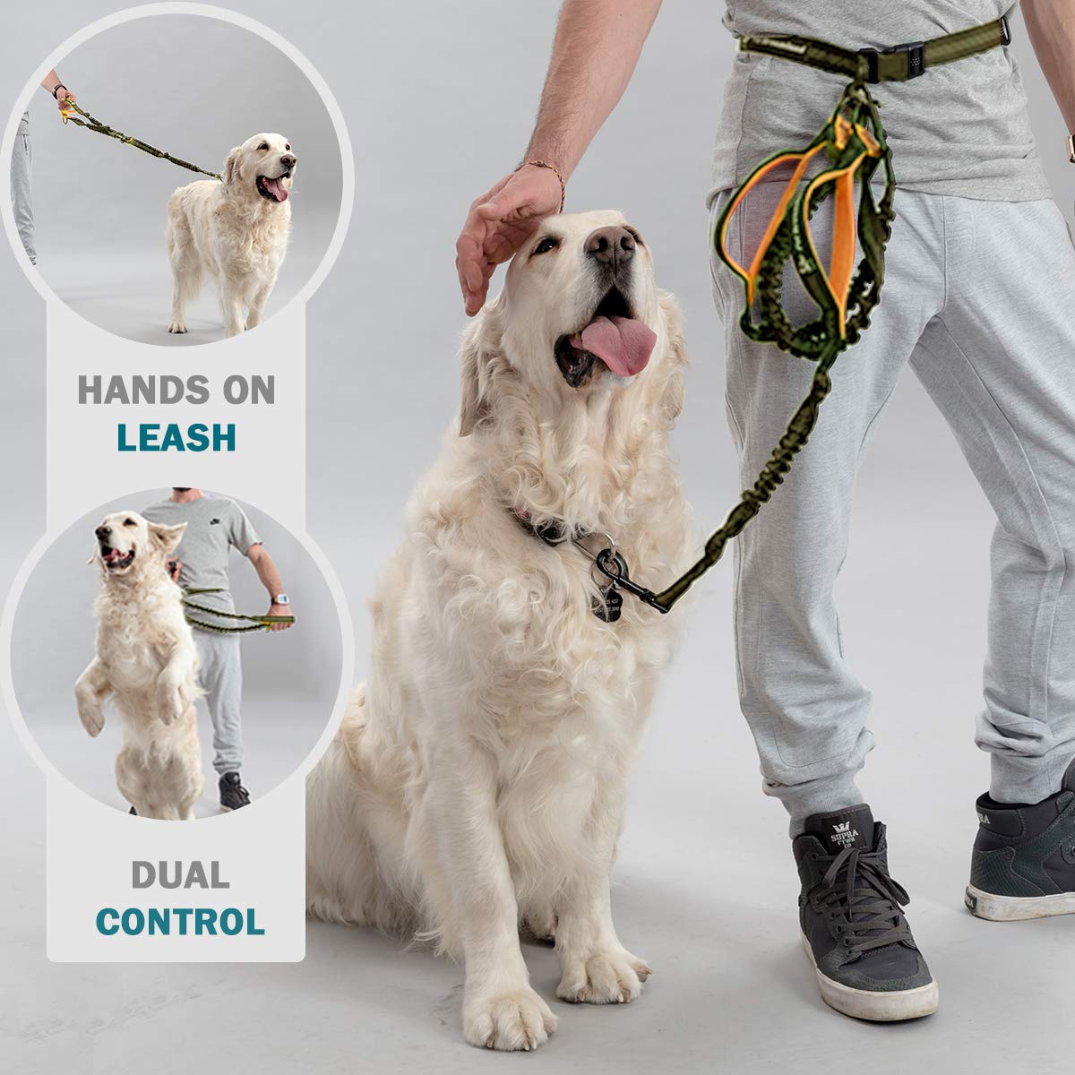 Retractable Hands Free Dog Leash For Small Dogs | Waist Leash For Dog Walking, Hiking | Dog Running Leash | Belt Leash For Medium Dogs | Service Dog Leash | Dog Walking Accessories | Bungee Dog Leash