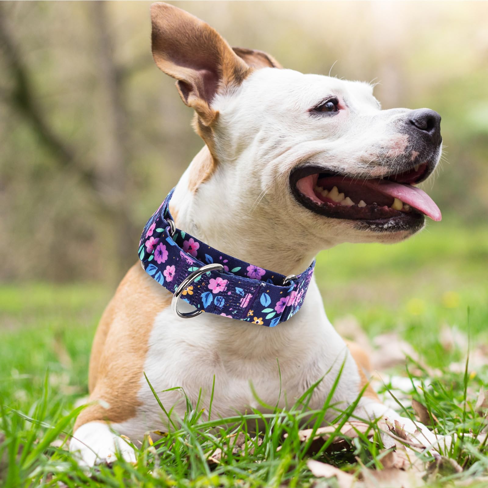 Wide 1.5 Girl Martingale Collar For Dogs,No Pull Heavy Duty Floral Dog Collar For Medium Large Extra Large Female Dogs L