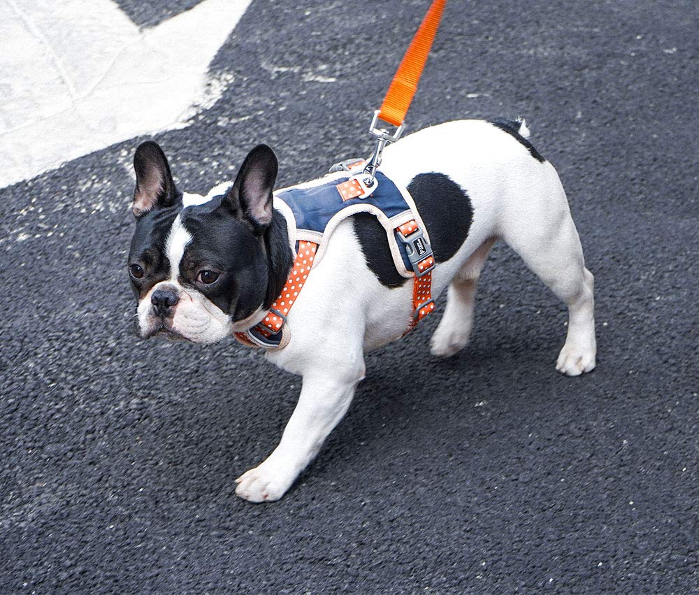 Cute Dog Harness Pet Soft Adjustable Vest Best Reflective Walking Harness Easy Control For Small Medium Large Dogs Orange S