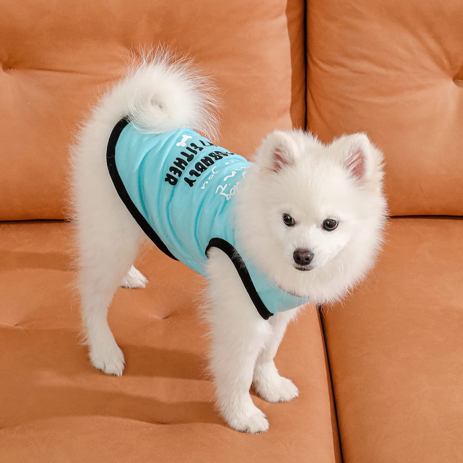 Katenpid Dog Shirts Pet Printed Clothes With Funny Letters Summer Pet T Shirts Cool Puppy Shirts Breathable Dog Outfit Soft Dog