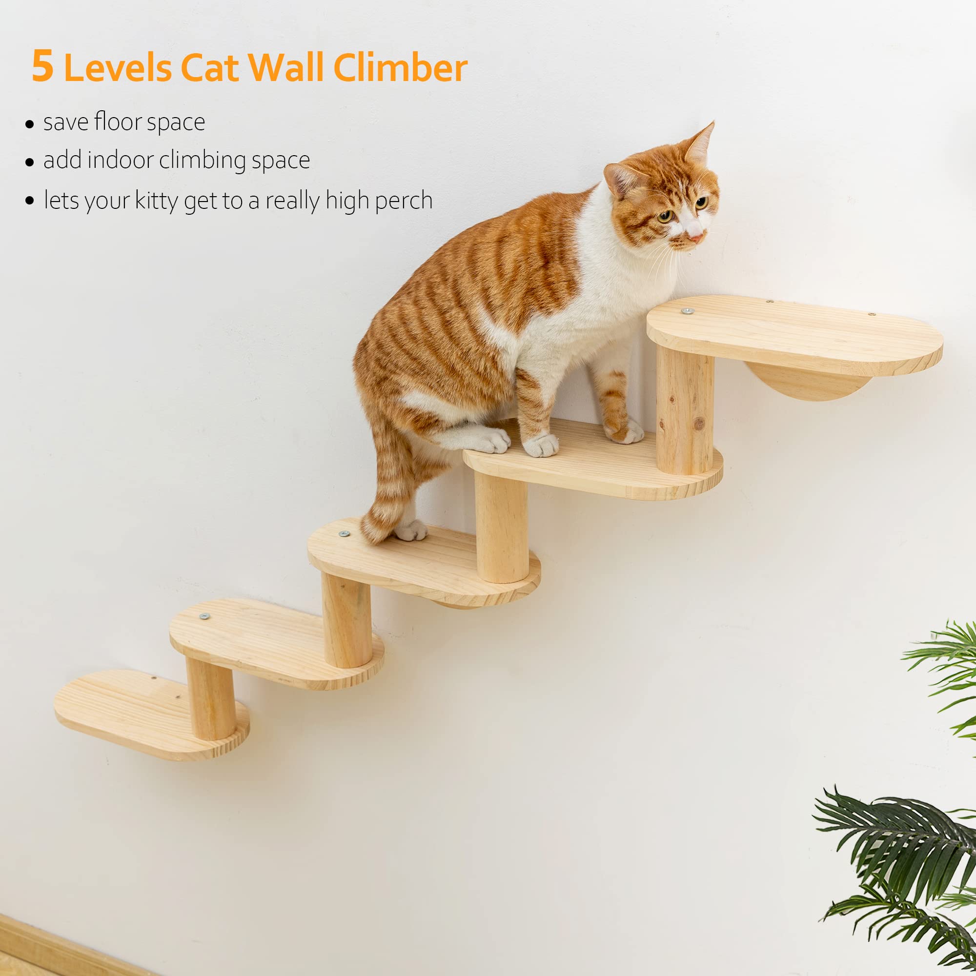 Cat Shelf for Wall Mount Hammock with 5-Levels Climbing Ladder Moon Cat Shelves and Perches for Activity Indoor Cats Wall Furnit