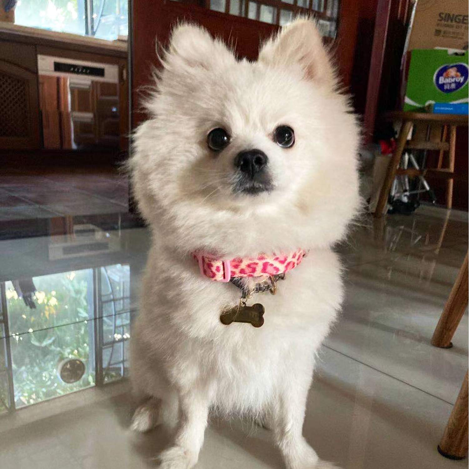 Petiry Fancy Pink Leopard Dog Collar Flocking Fabric Cheetah Scent Premium Soft and for Puppy,Middle and Big Dogs(Neck:16''-25''