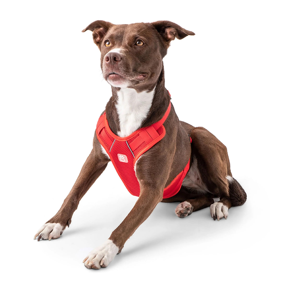 Gf Pet Travel Harness - Red - S