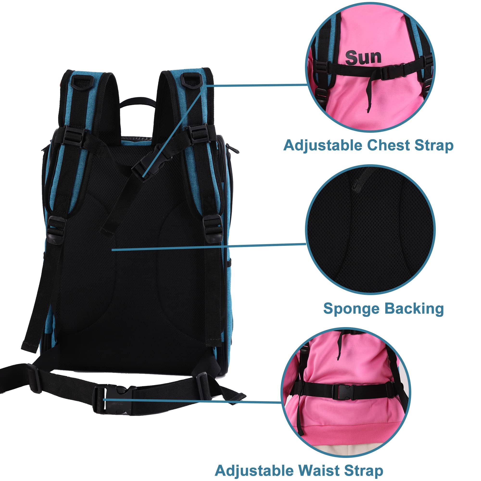 Apollo Walker Pet Carrier Backpack For Large/Small Cats And Dogs, Puppies, Safety Features And Cushion Back Support | For Travel, Hiking, Outdoor Use (Teal)