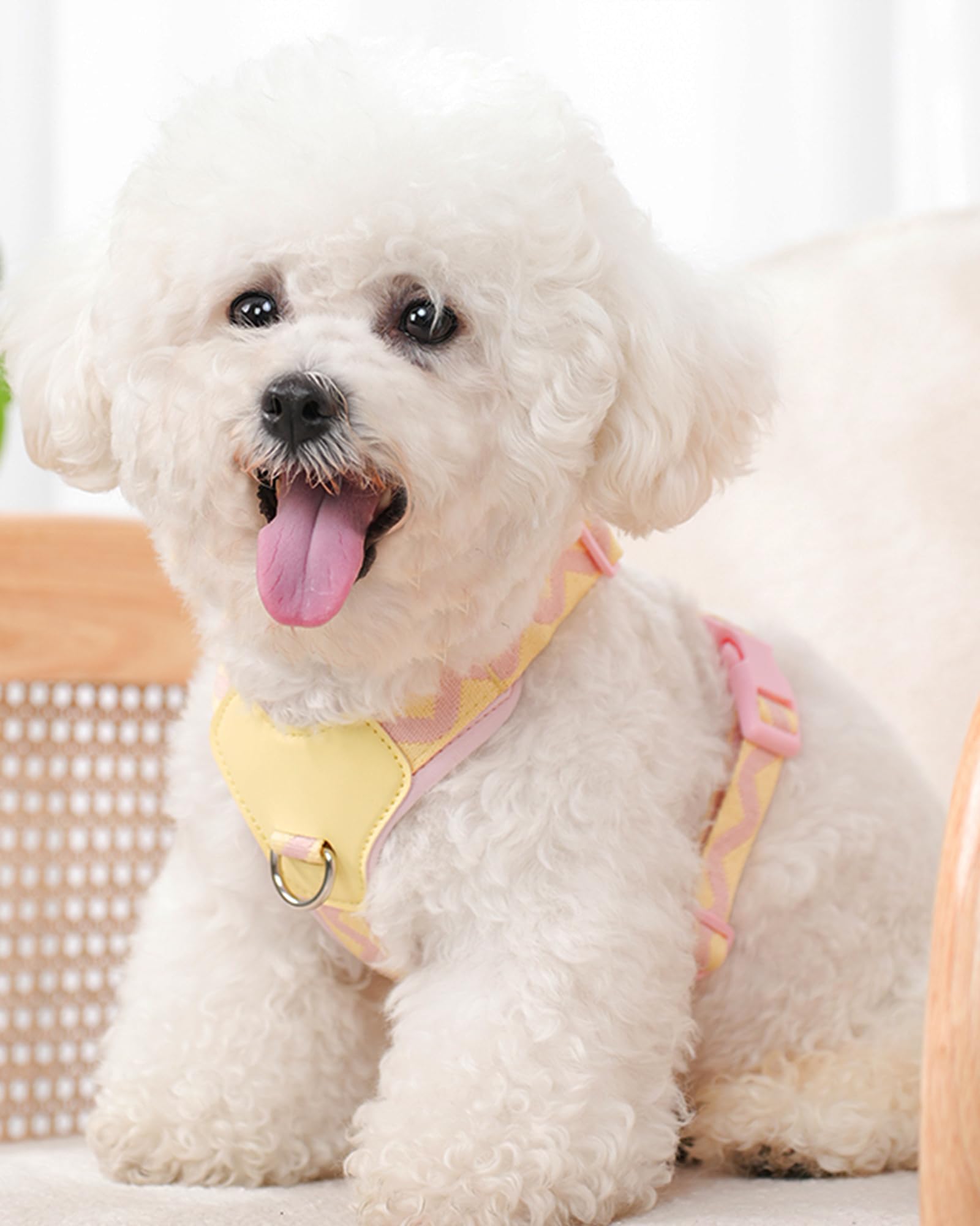 Petank Pink Medium Dog Harness - No Pull, Easy Walk, Adjustable (Pink, M)