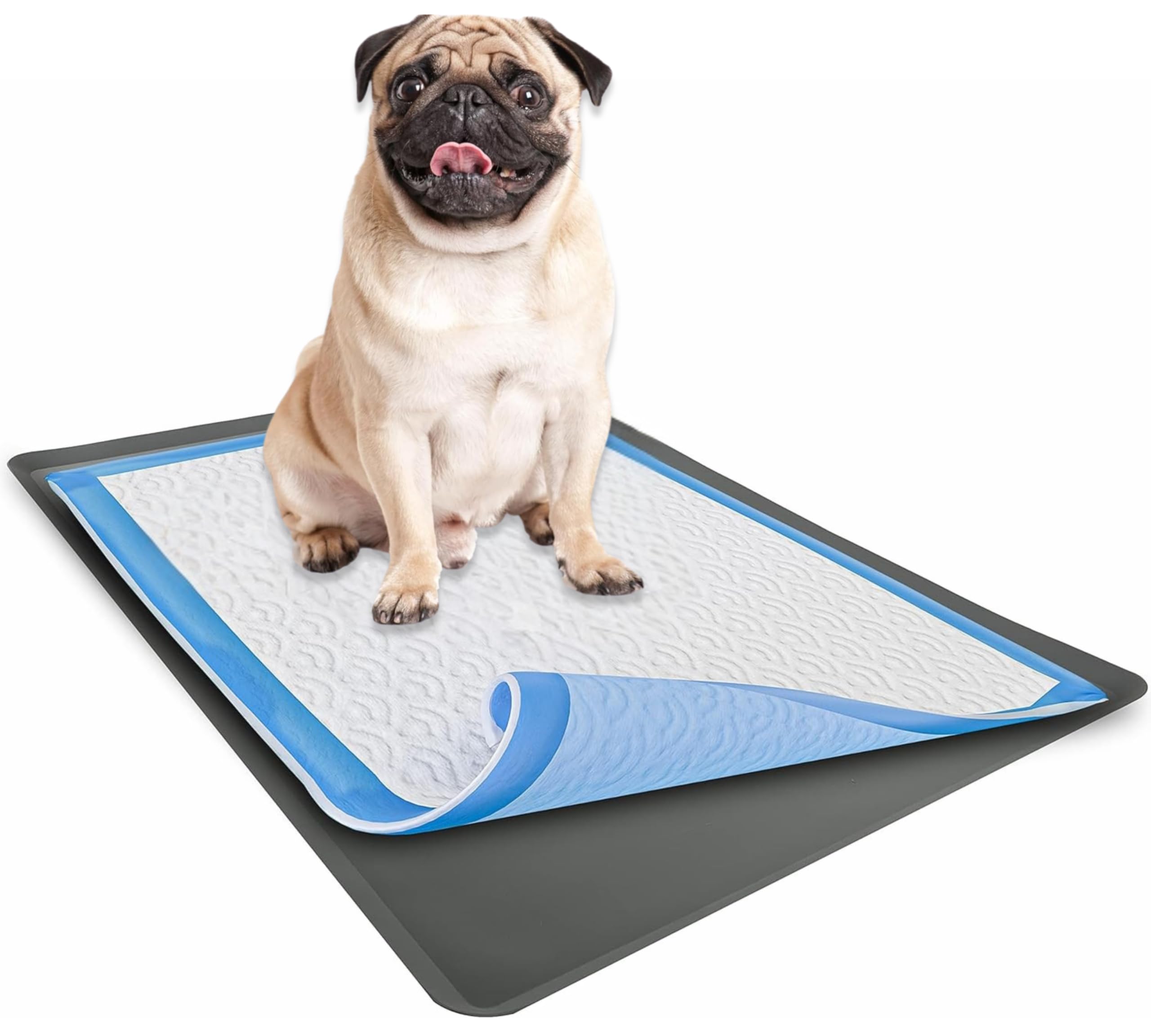 Skywin Tidyfriend Pee Pad Holder Tray 27.5 X 44 Inches, Silicone Dog Potty Tray, Easy To Clean No Spill Dog Potty Training Pad H