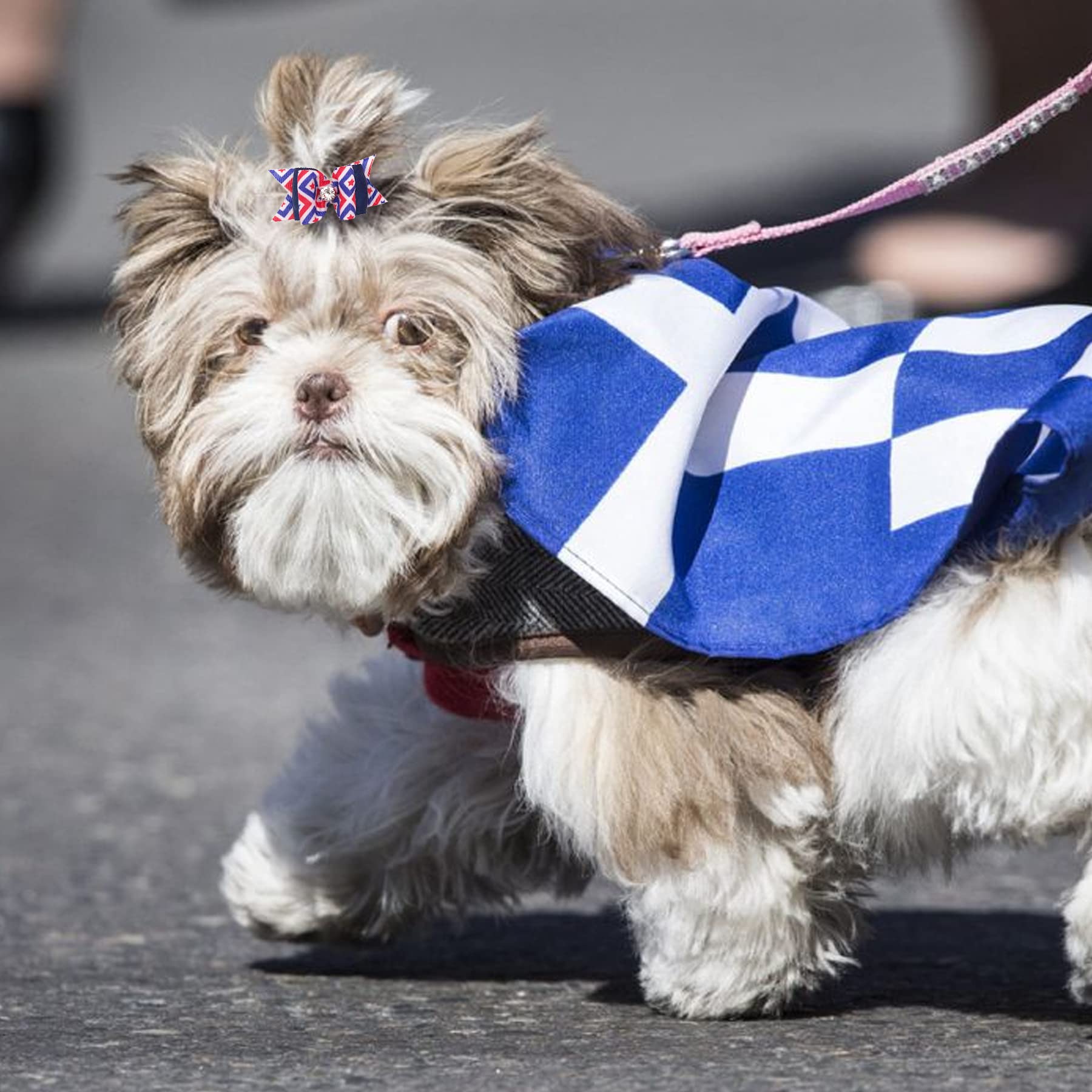 Jpgdn 50Pcs/25Pairs Dog Hair Bows With Rubber Band Summer Sea Animal Pattern For Girl Boy Male Female Small Medium Puppy Doggie