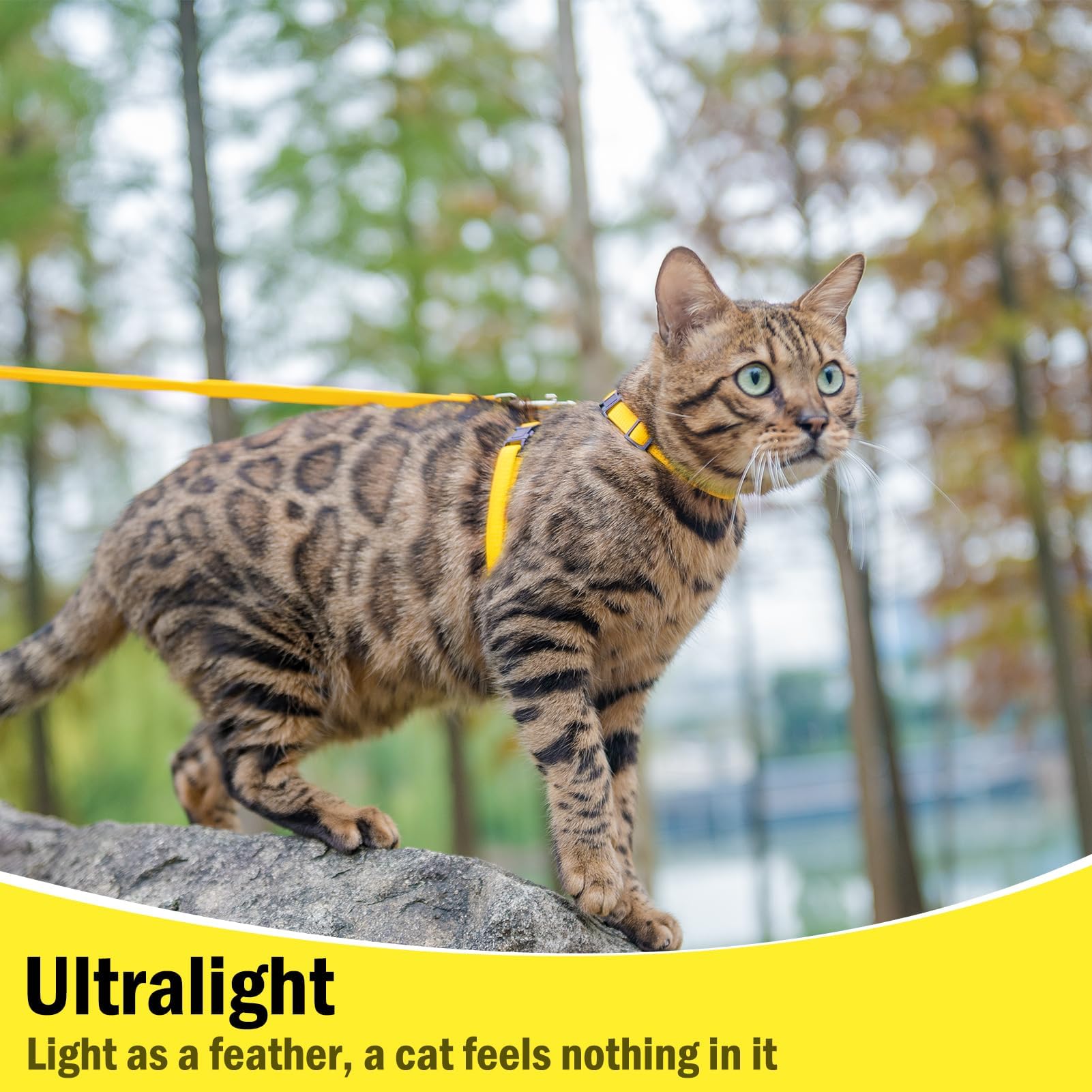 Pupteck Adjustable Cat Harness And Leash Set Escape Proof Kitten Strap Collar For Walking Travel, Yellow, M