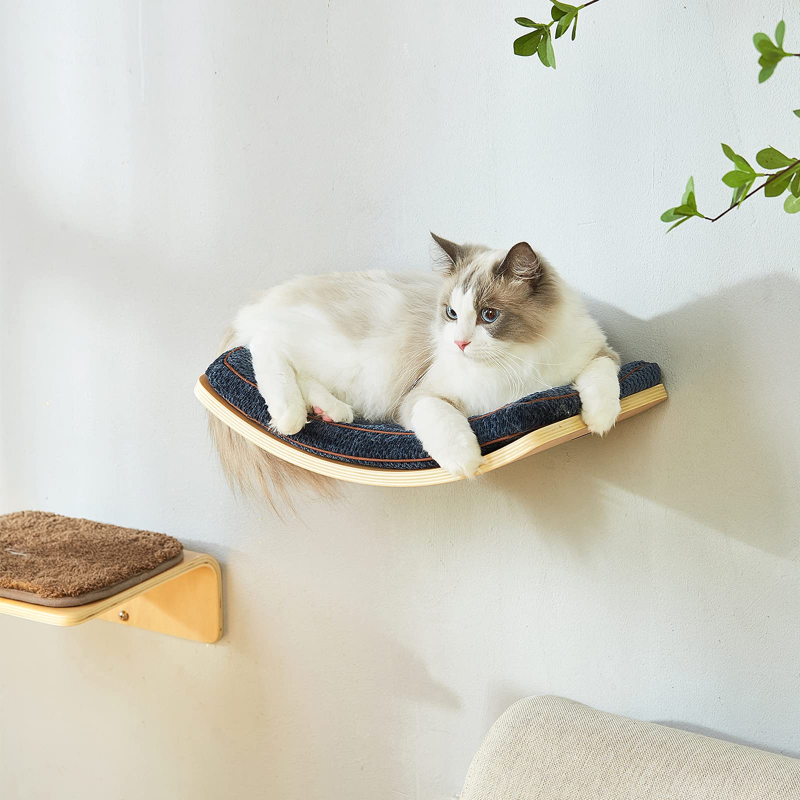 Liorce Cat Shelf With Comfortable Cushion - Curved Cat Shelves And Perches For Wall (Medium Size) - Wall Mounted Cats Furniture