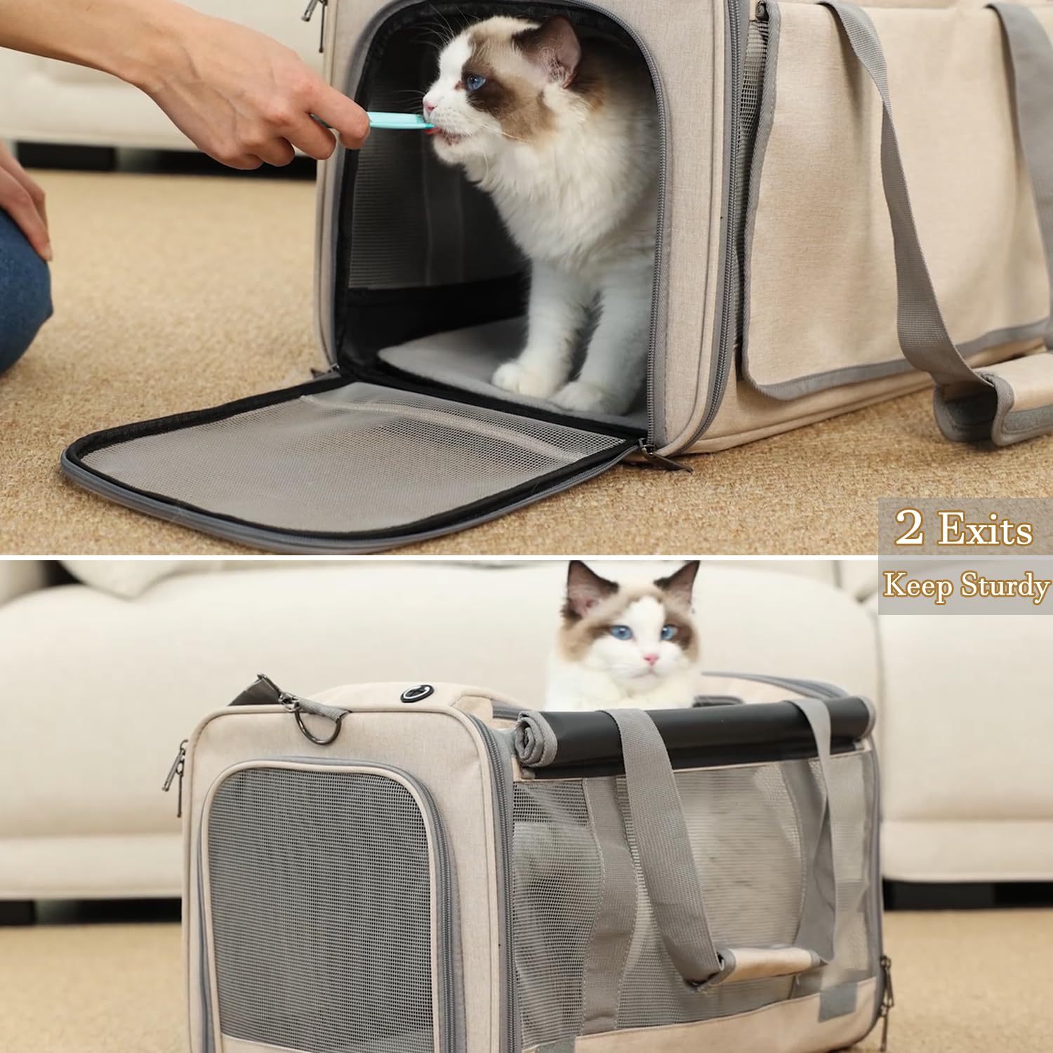 Patazone Small Dog Carrier Pet Bag For Small Dogs Cats Carriers Softsided,Large Pocket,Breathable,Light Weight,Sunshine Protecti