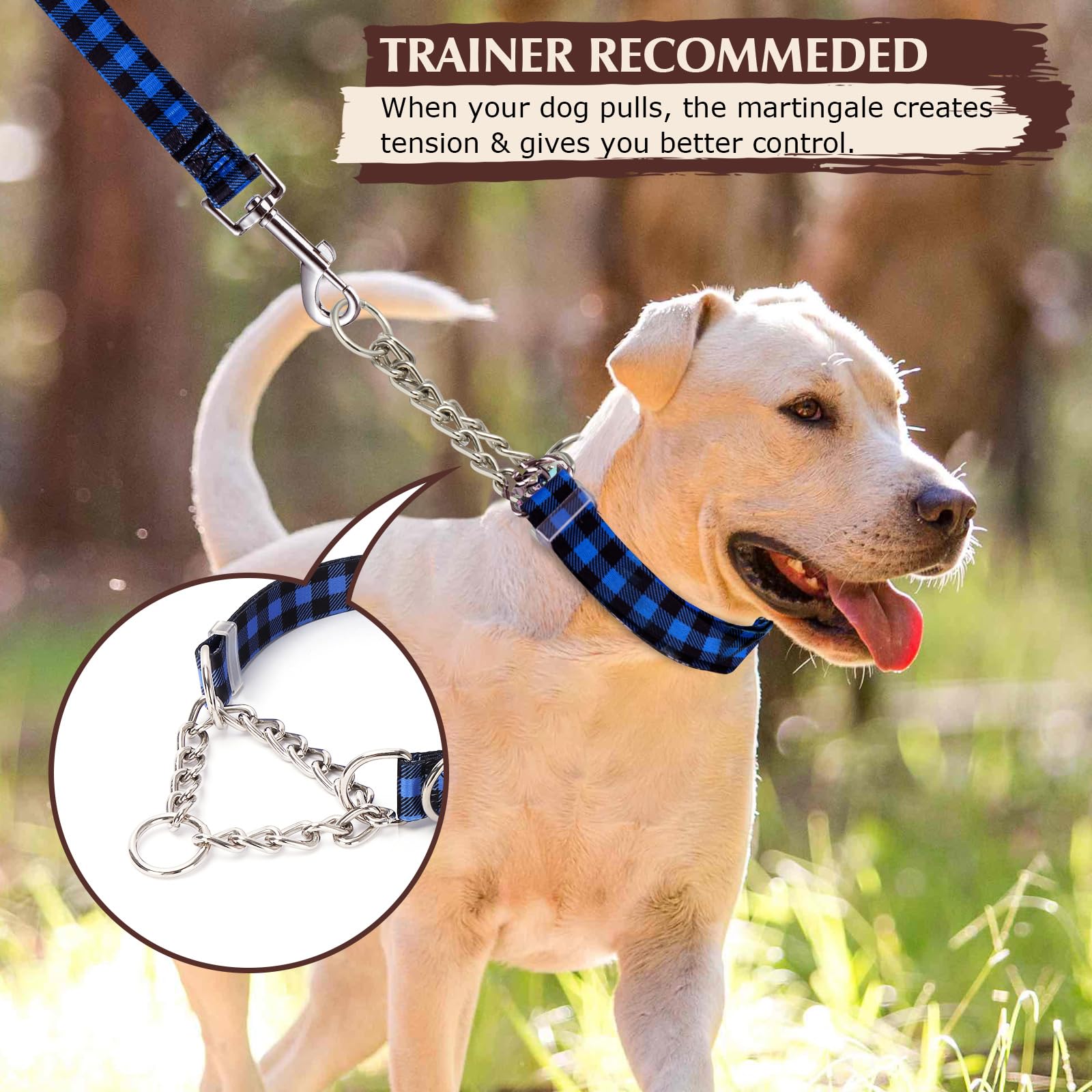 Martingale Collar For Dogs With Nylon & Steel Chain Limited Cinch Design, Blue Buffalo Plaid No Choke Dog Collar, Adjustable No