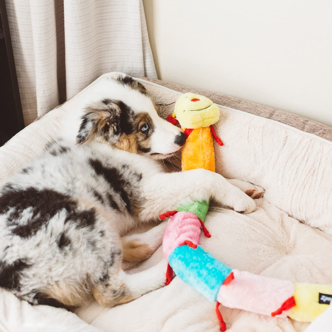 Zippypaws - Colorful Caterpillar Squeaky Stuffed Plush Dog Toy - Deluxe Squeakers