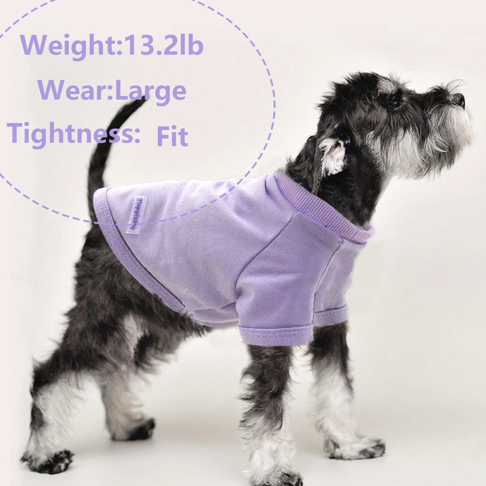 Dog Clothes 2 Pieces Stripe Dog Shirt For Small Dogs Summer Dog Shirt Cute Soft Puppy Clothes Bresthable Chihuahua Cat Clothes X