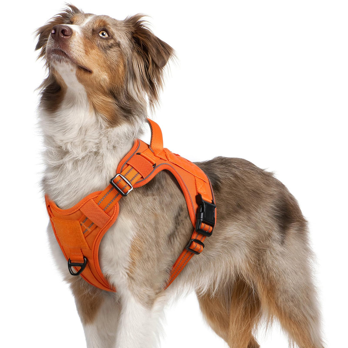 Rabbitgoo Dog Harness No Pull, Military Dog Harness Medium Sized Dog With Handle & Molle, Easy Control Service Dog Vest Harness Training Walking, Adjustable Reflective Tactical Pet Harness, Orange, M