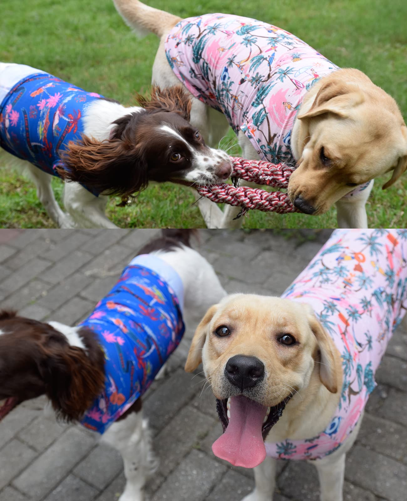 Uadonile Dog Cooling Shirts, Large Dog Shirts, Dog Clothes For Boy Girl Dogs, Dogs Cooling T-Shirts For French Bulldog, Beagle,