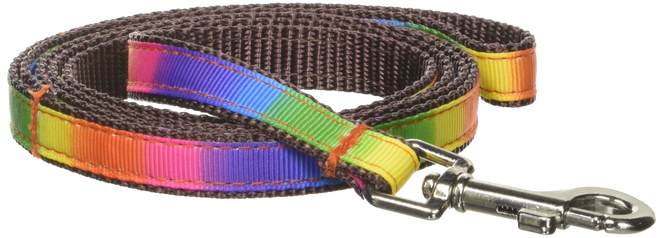 XSmall Rainbow Dog Leash: 1/2 Wide, 4ft Length - Made in USA.