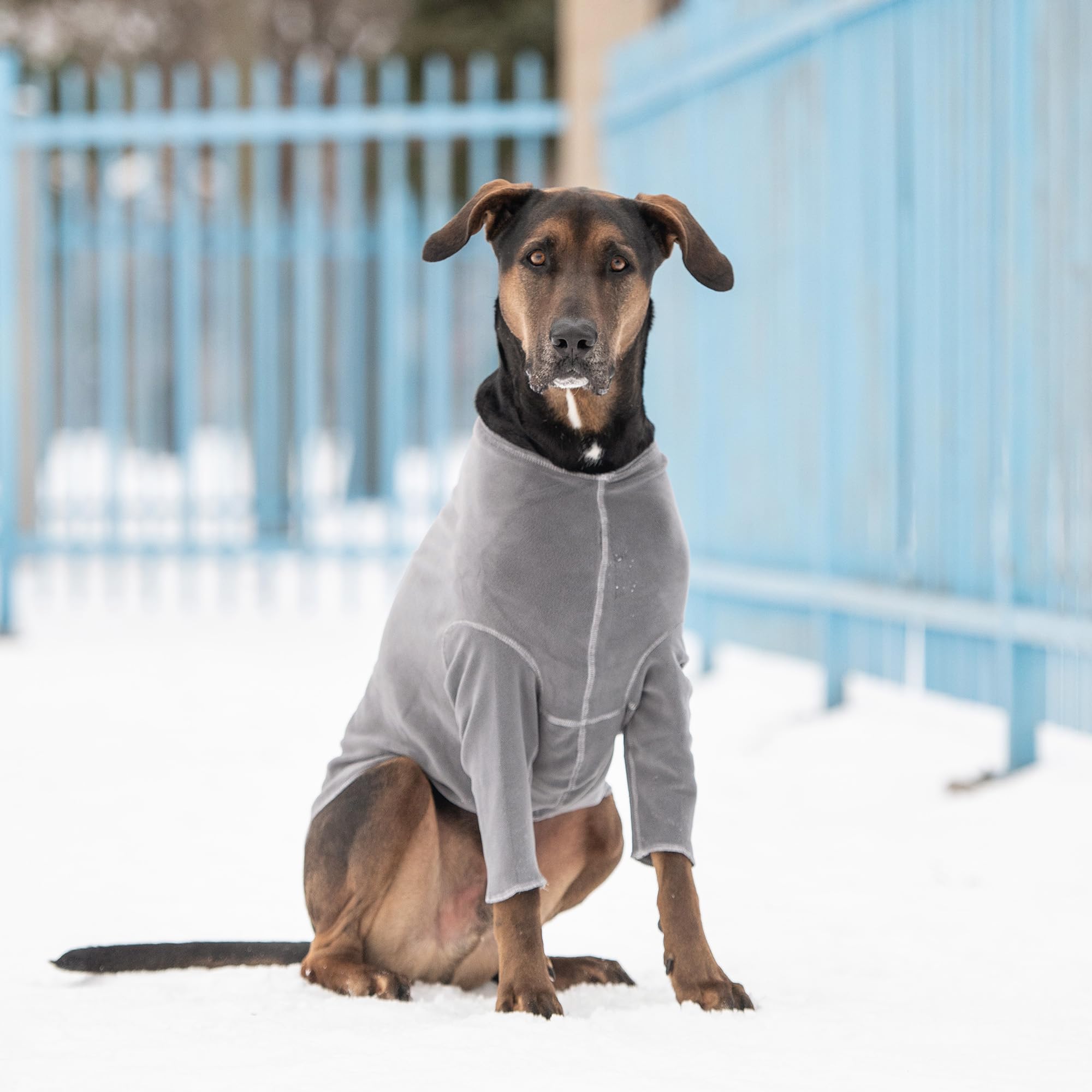 Gf Pet Gondola Base Layer For Dogs | Micro Polar Fleece Dog Bodysuit | Warm 4-Way Stretch Onesie | Full Body Coverage, Protection From Cold | Pajamas & Winterwear - Charcoal - X Large