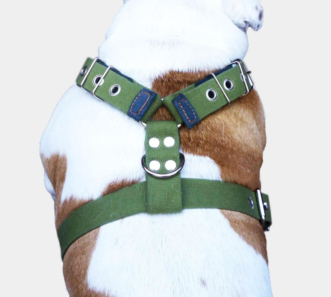 Cotton Web Dog Harness Large. Fits Girth 29'-34.5'. 1.5' Wide Straps, Rottweiler, Doberman, Boxer