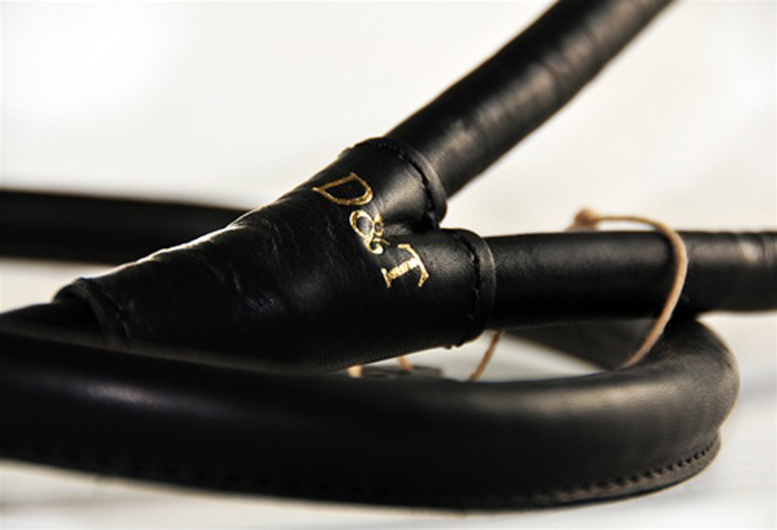 Dean And Tyler Tamed Beauty Rolled Leash, Black 6-Feet By 1/2-Inch Diameter With Handle And Solid Brass Hardware.
