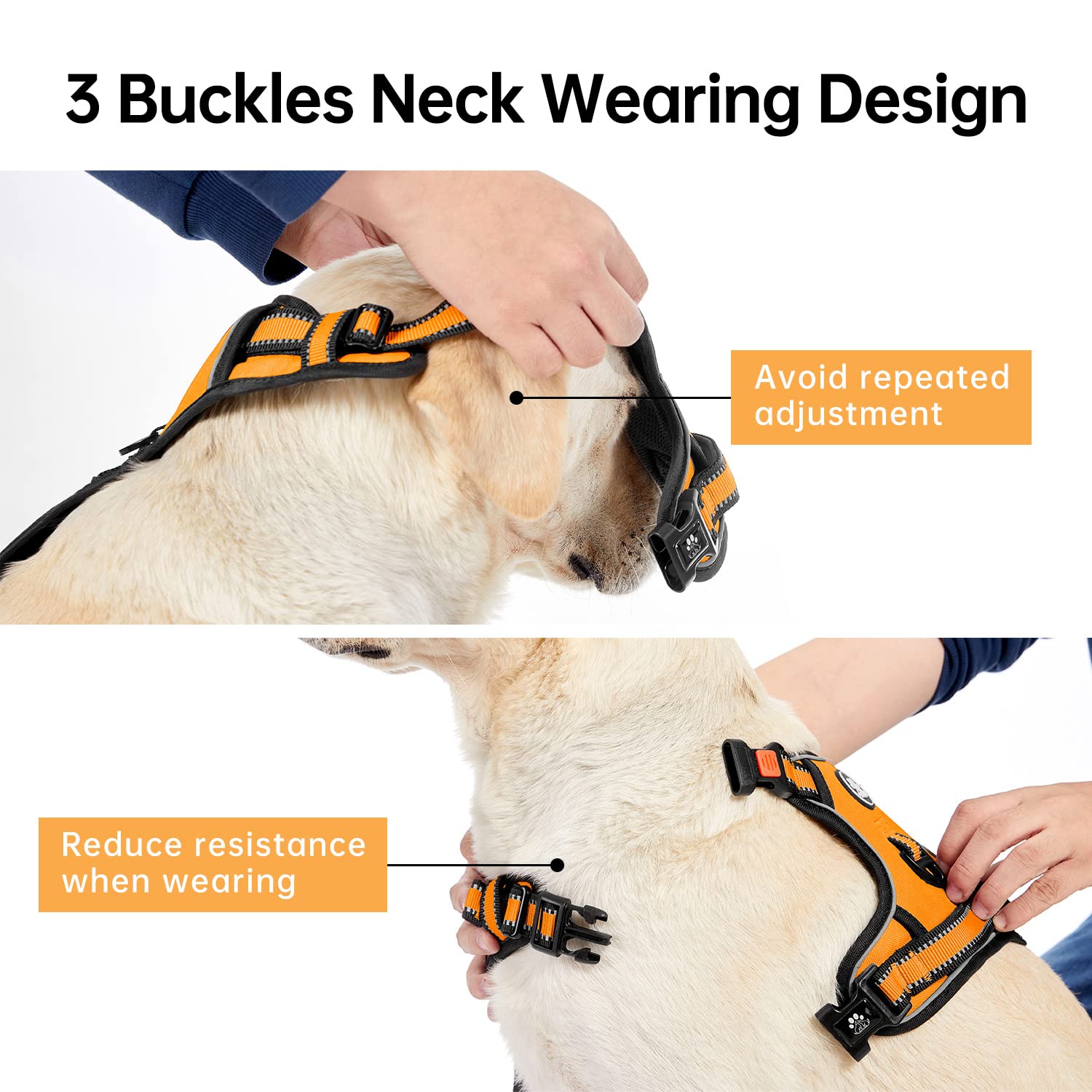 Ivy&Lane No Pull Dog Harness For Small Dogs, Vest Harness With Leash, Safety Belt And Storage Strap, Fully Adjustable, 360 Refle