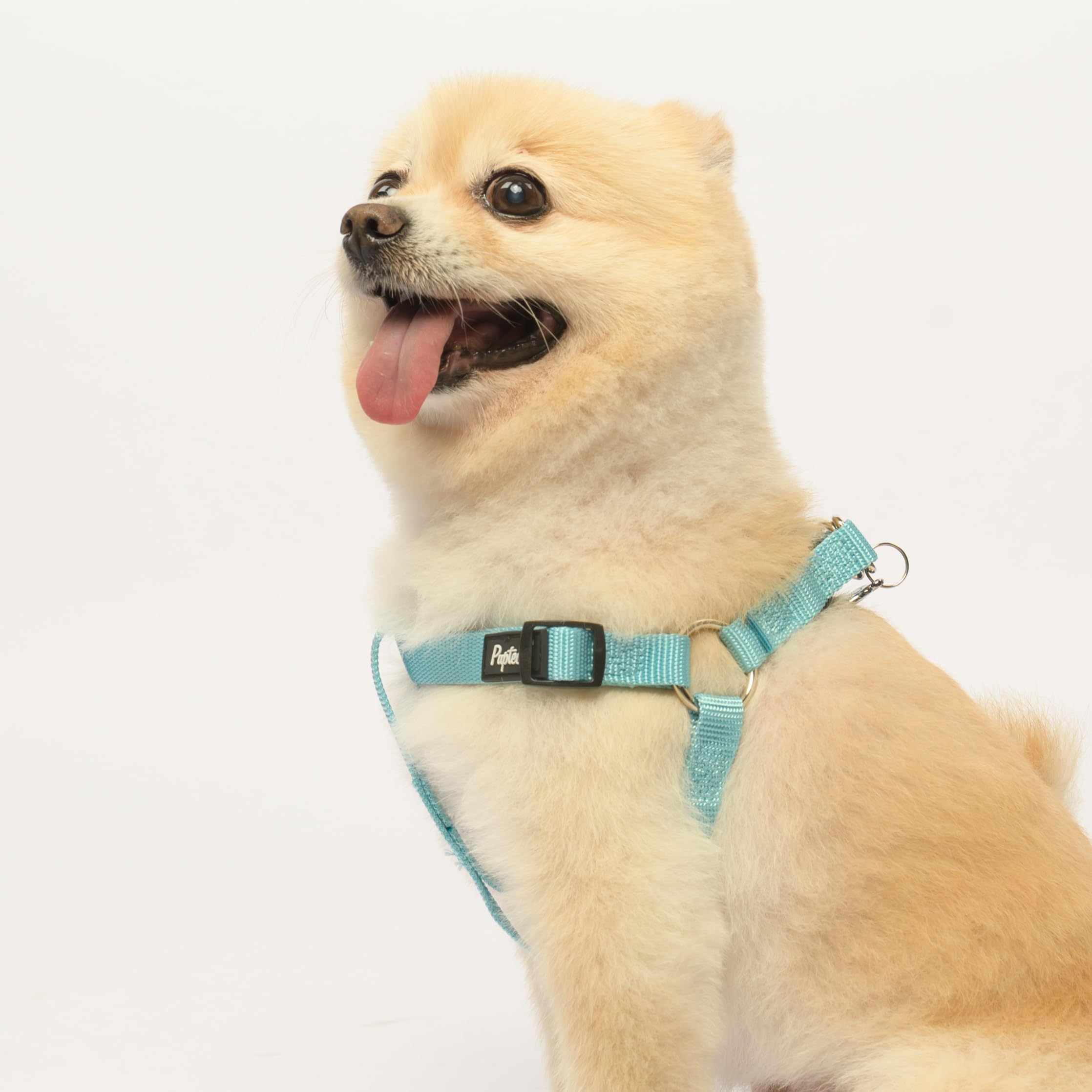 Pupteck No Pull Dog Harness Soft Adjustable Basic Nylon Step In Puppy Vest Outdoor Walking With Id Tag Skyblue