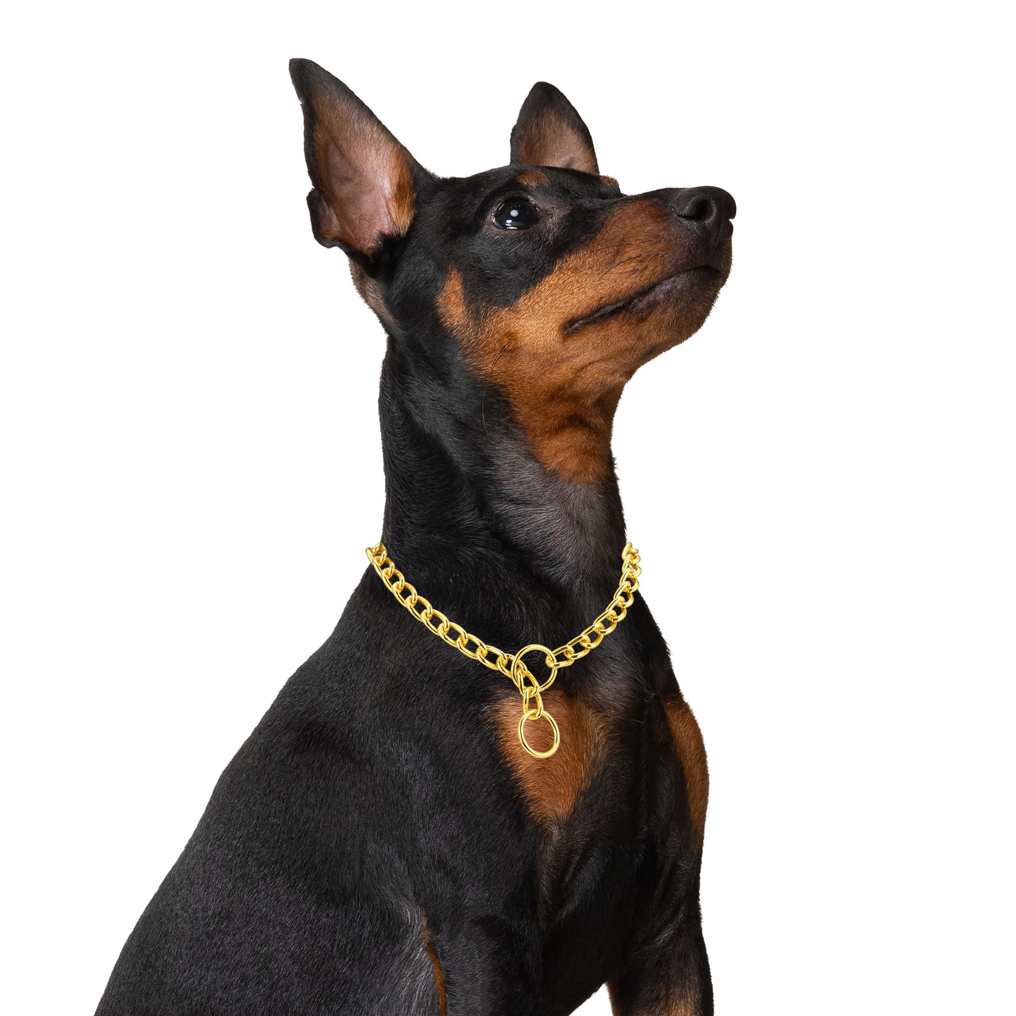 Mogoko Stainless Steel Dog Choke Chain Collar, Puppy Metal P Chain Slip Collar Pet Training Walking Choker(Gold; 3.5Mm;22.0 Inch