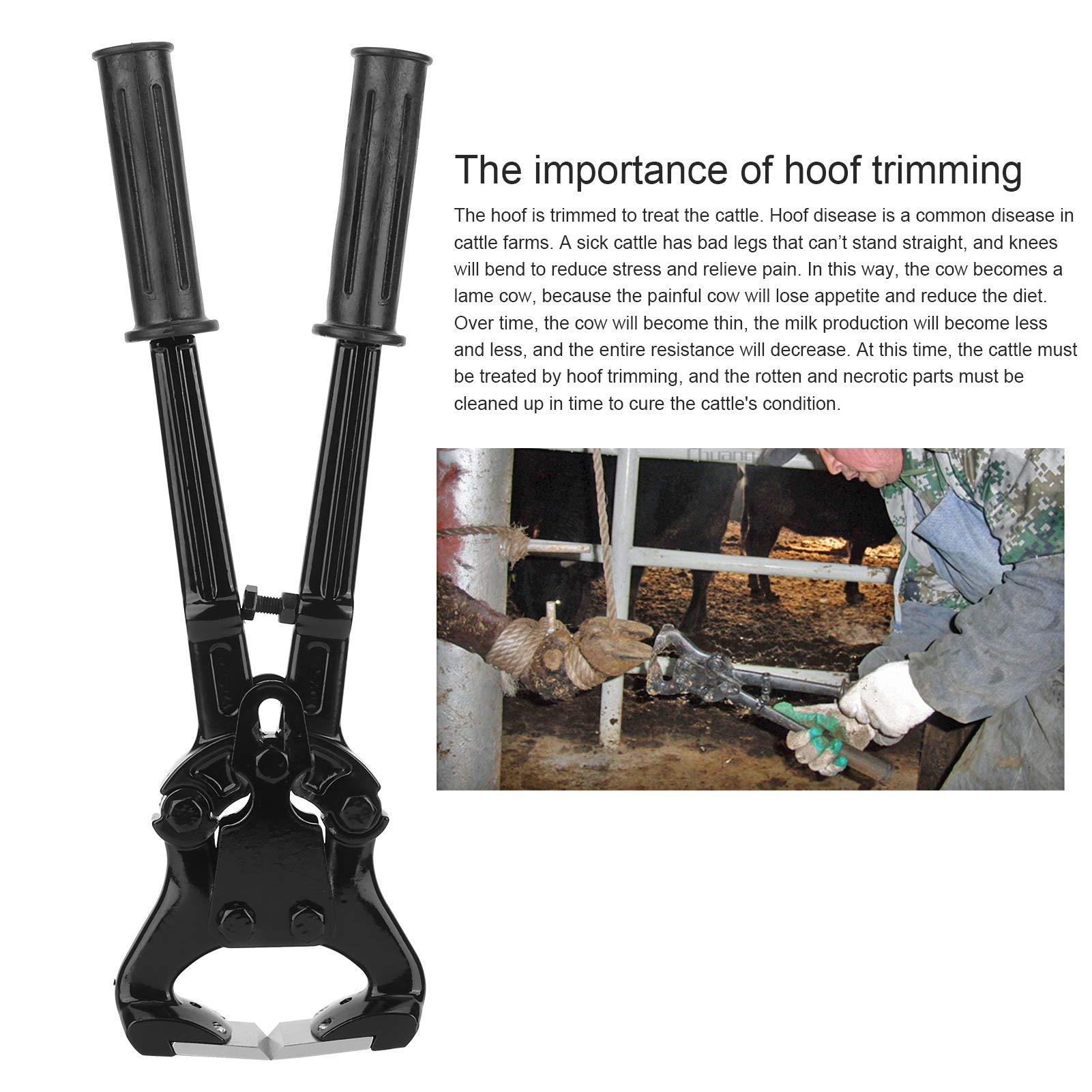 Hoof Trimmer, Stainless Steel Functional Cow Hoof Trimmer Pliers, Nail Remover Tool, Sharpened Wear-Resistant Durable Hoof Nippe