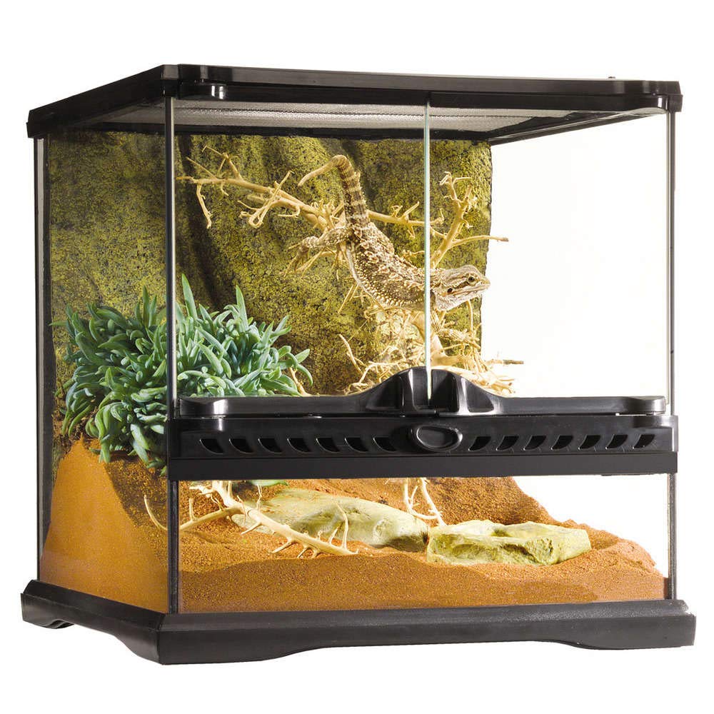 Exo Terra Glass Terrarium Kit, For Reptiles And Amphibians, Mini Wide, 12 X 12 X 12 Inches, Pt2600A1