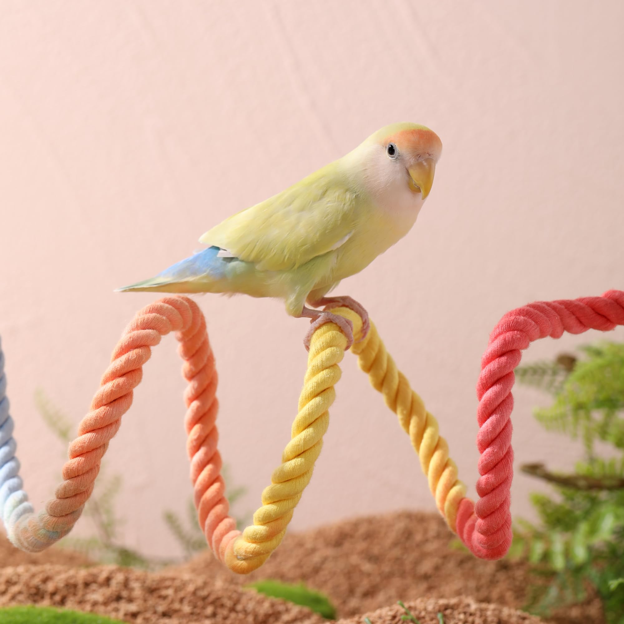 Tafit Multi-Color Rope Bird Perch Toys for Parrot Cage Stand, Climbing Swing Accessories for Cockatiel, Parakeets, Budgies, Love