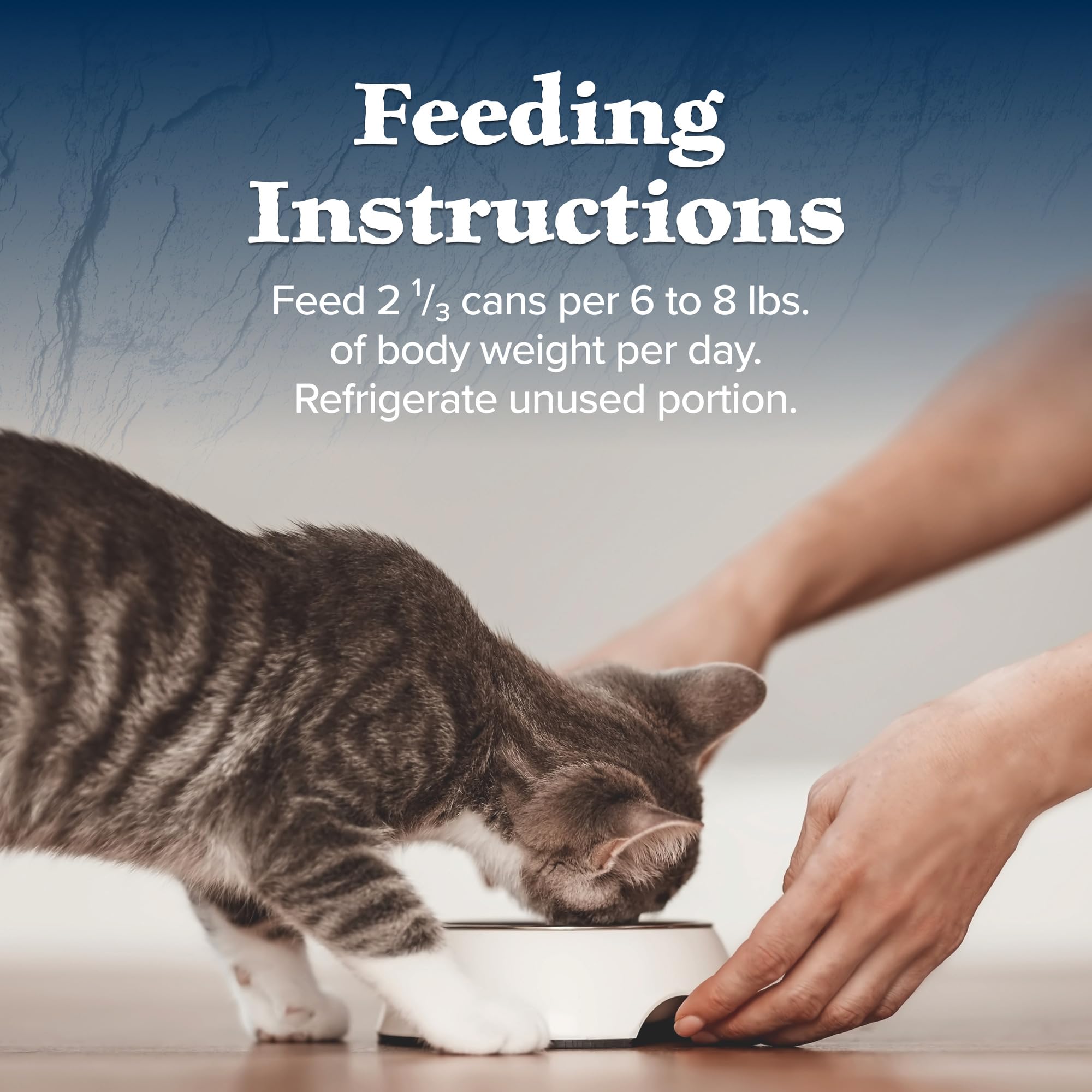 Blue Buffalo Wilderness Wild Delights Meaty Morsels Wet Cat Food, High-Protein & Grain-Free, Made with Natural Ingredients, Chic