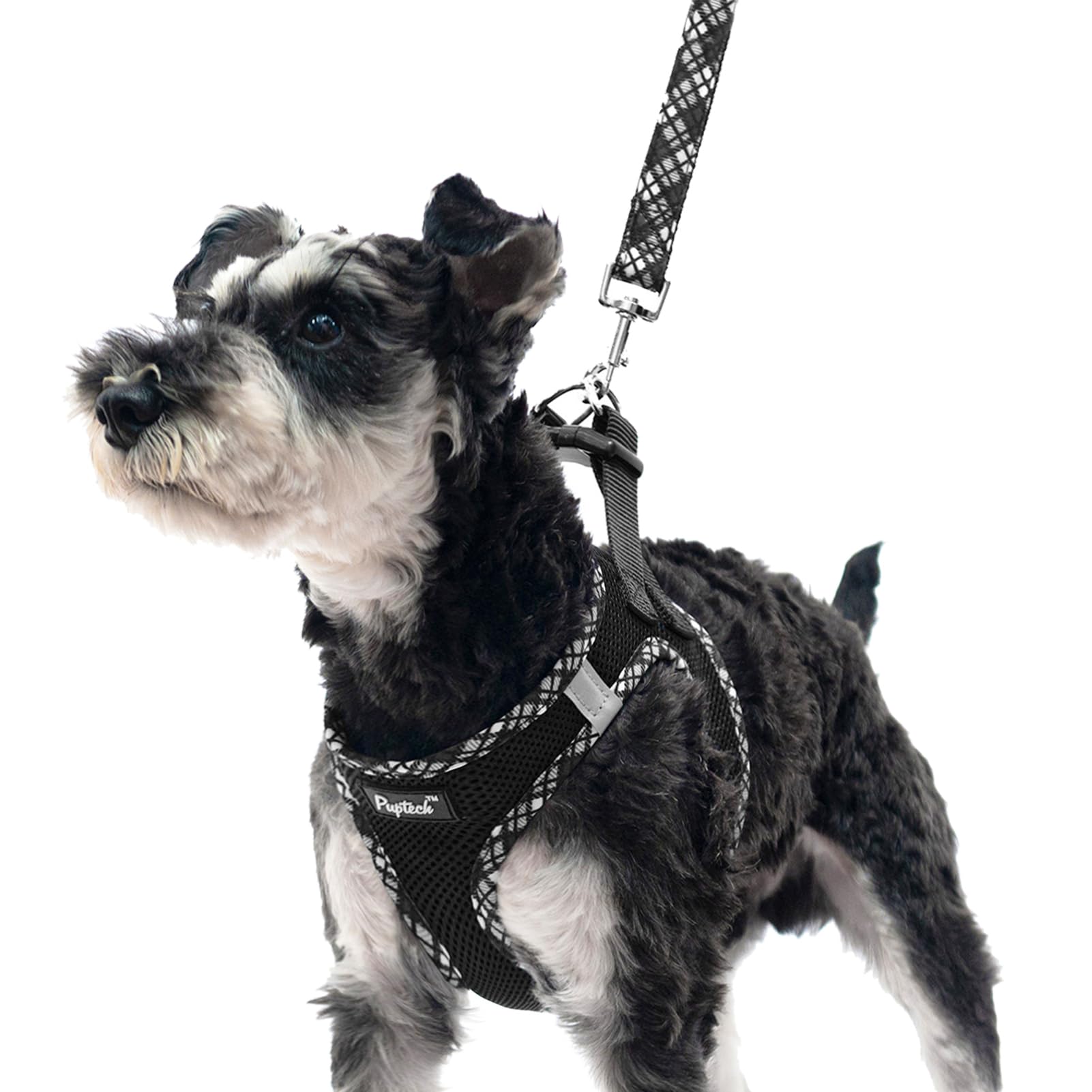 Pupteck Dog Harness And Leash Set For Small Medium Dogs No Pull Step-In Soft Mesh Puppy Cat Vest Harnesses Reflective At Night, Black L