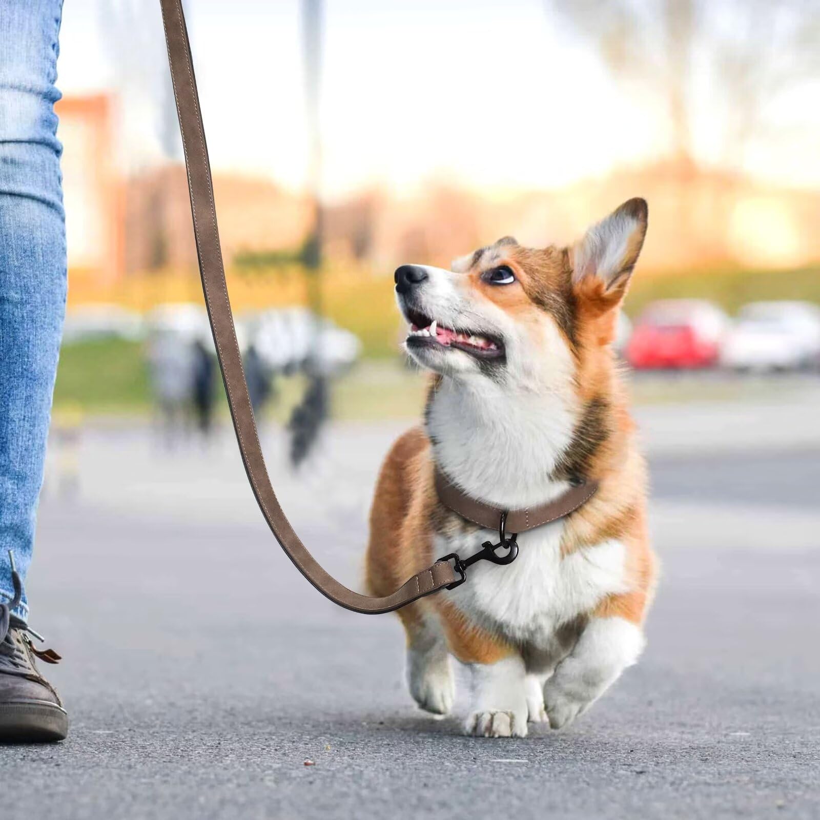 Didog Soft Padded Leather Dog Collar And Leash Set, Heavy Duty Dog Leash And Collar Set With Metal Buckle, Breathable Large Dog