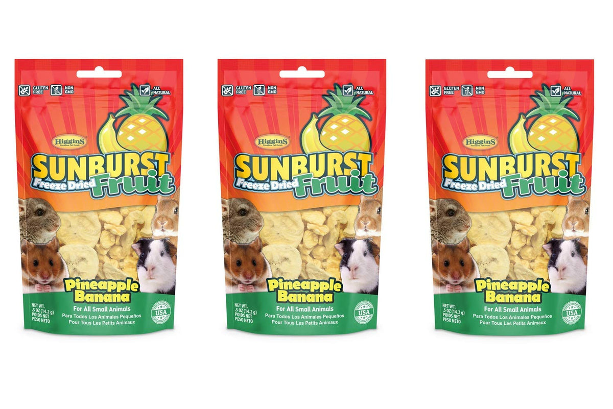 Higgins Sunburst Pineapple Banana, 0.5 Ounces, Freeze-Dried Fruit For All Small Animals (3 Pack - 0.5 Ounces)