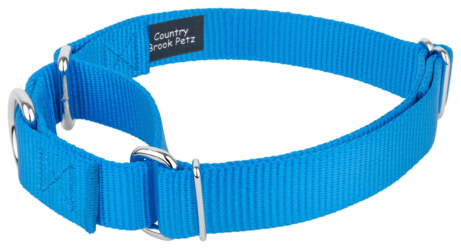 Country Brook Design - Ice Blue Martingale Heavy Duty Nylon Dog Collar - 21 Vibrant Color Options (3/4 Inch Width, Small)